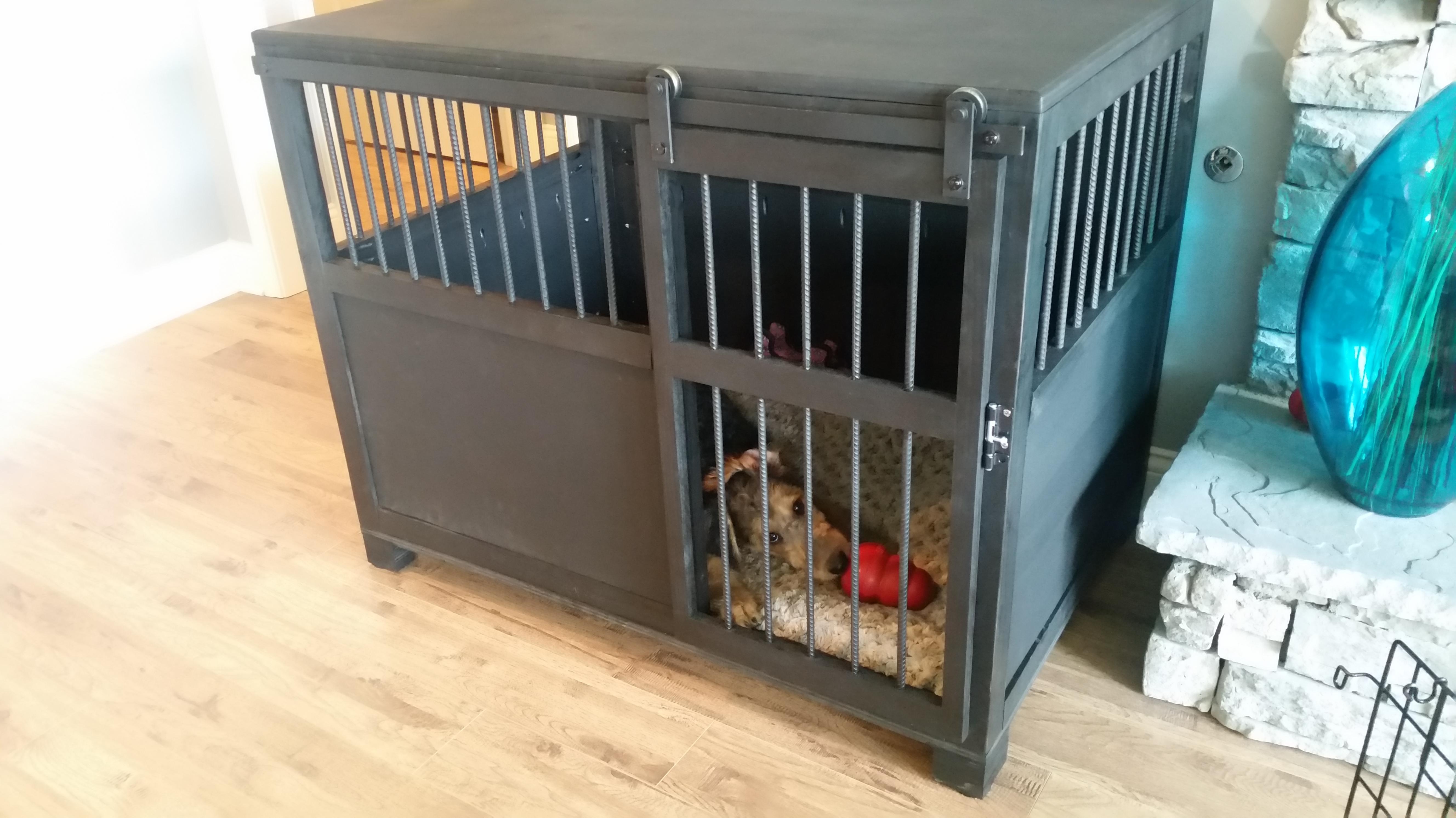 First build Dog Kennel. Made of framing 2x4's, a sheet of 3/4 plywood