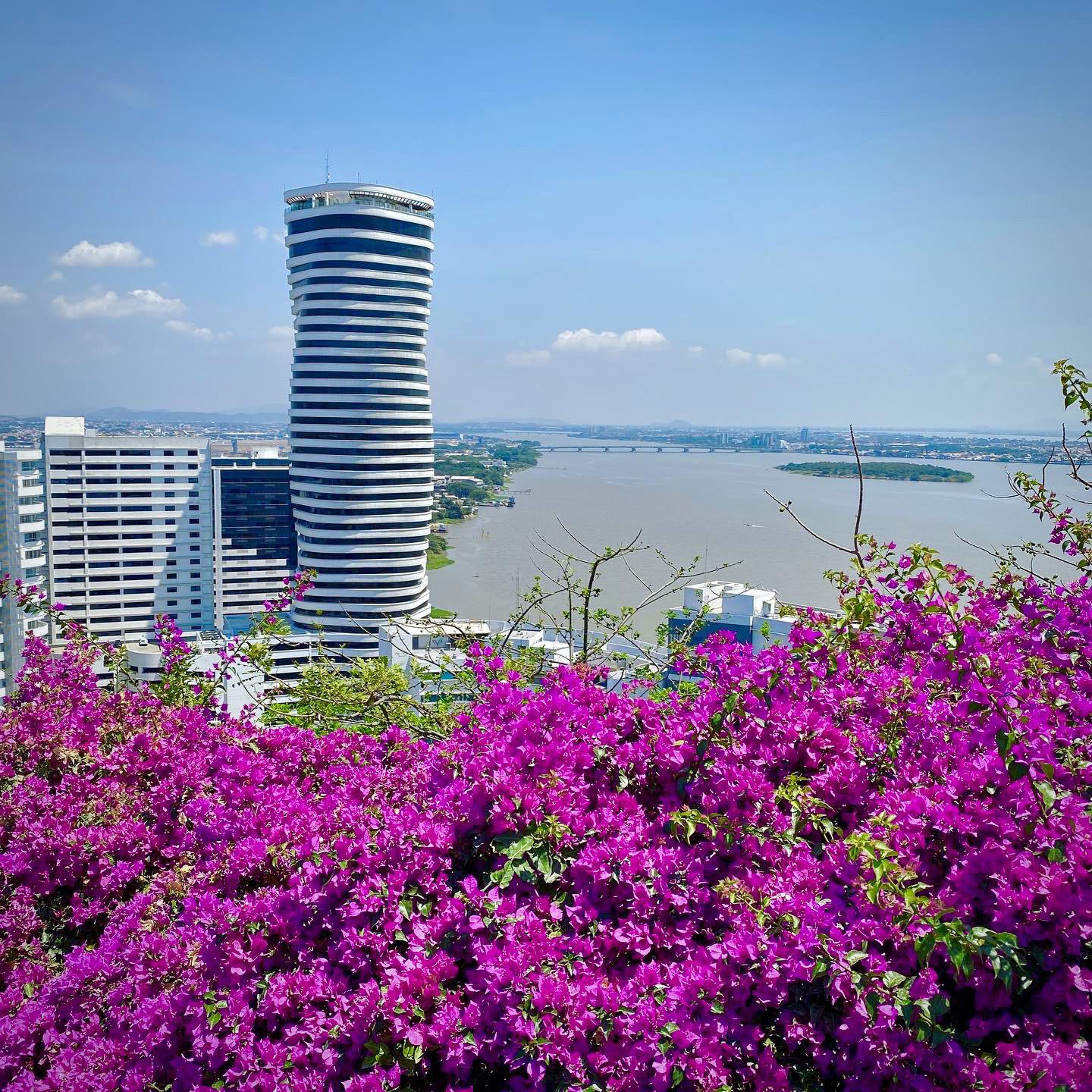 Guayaquil Ecuador r/CityPorn