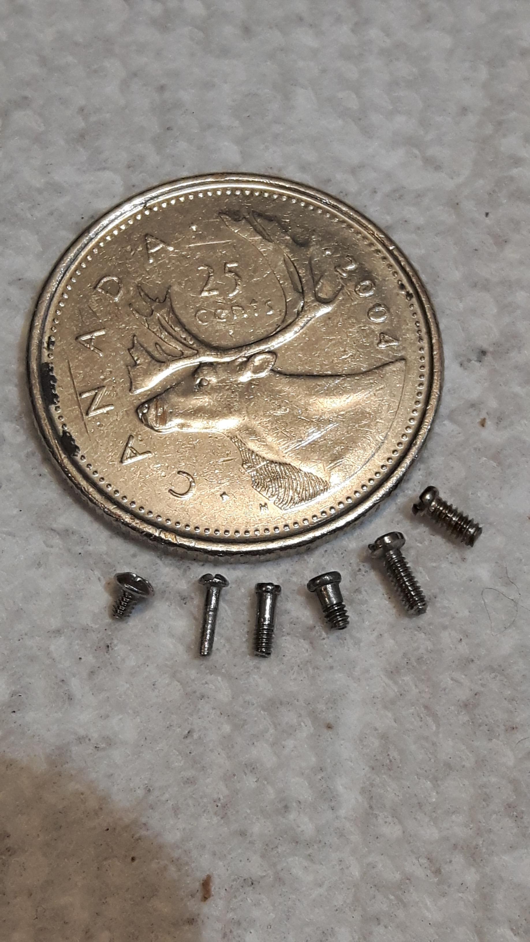 Some proprietary eyeglass frame screws used to ensure consumers are