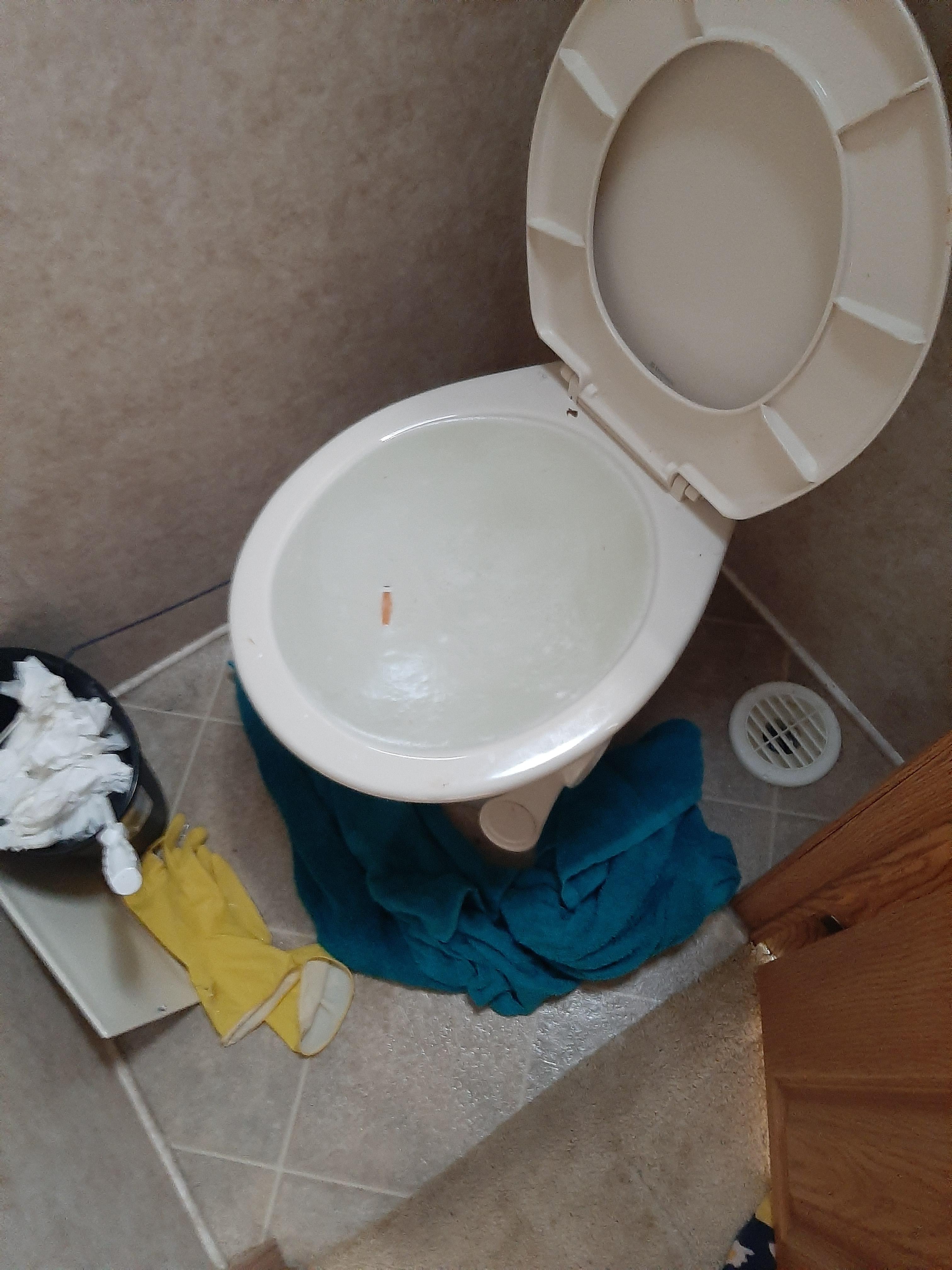 Please Help When I push down the foot handle to flush water overflows