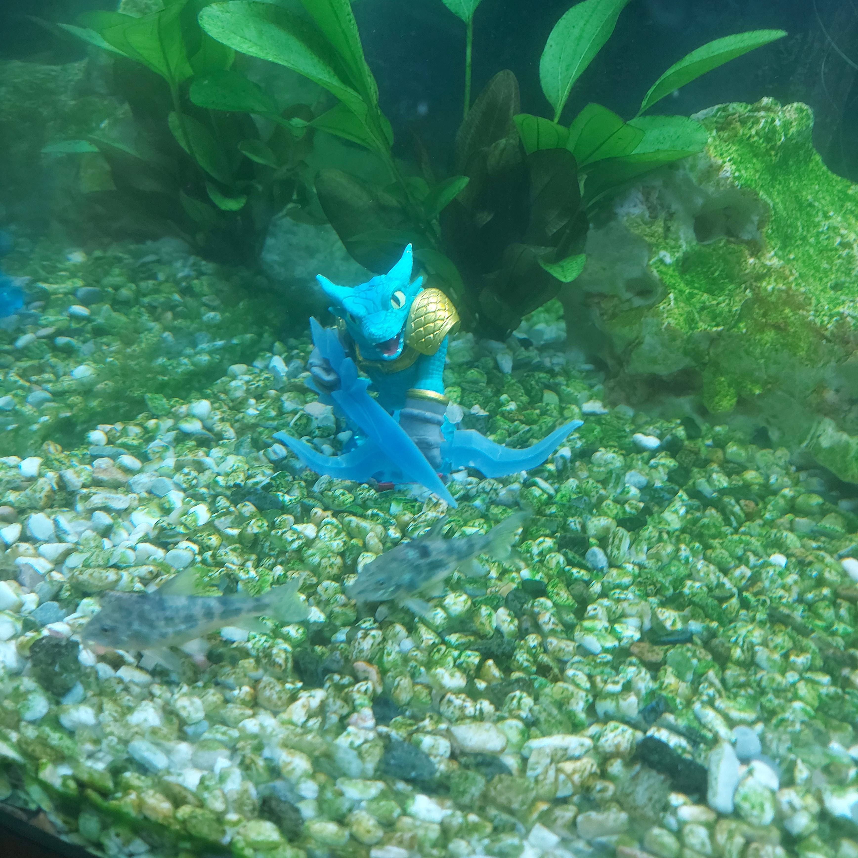 Hey guys. Got an aquarium recently and had the idea to put a (plastic