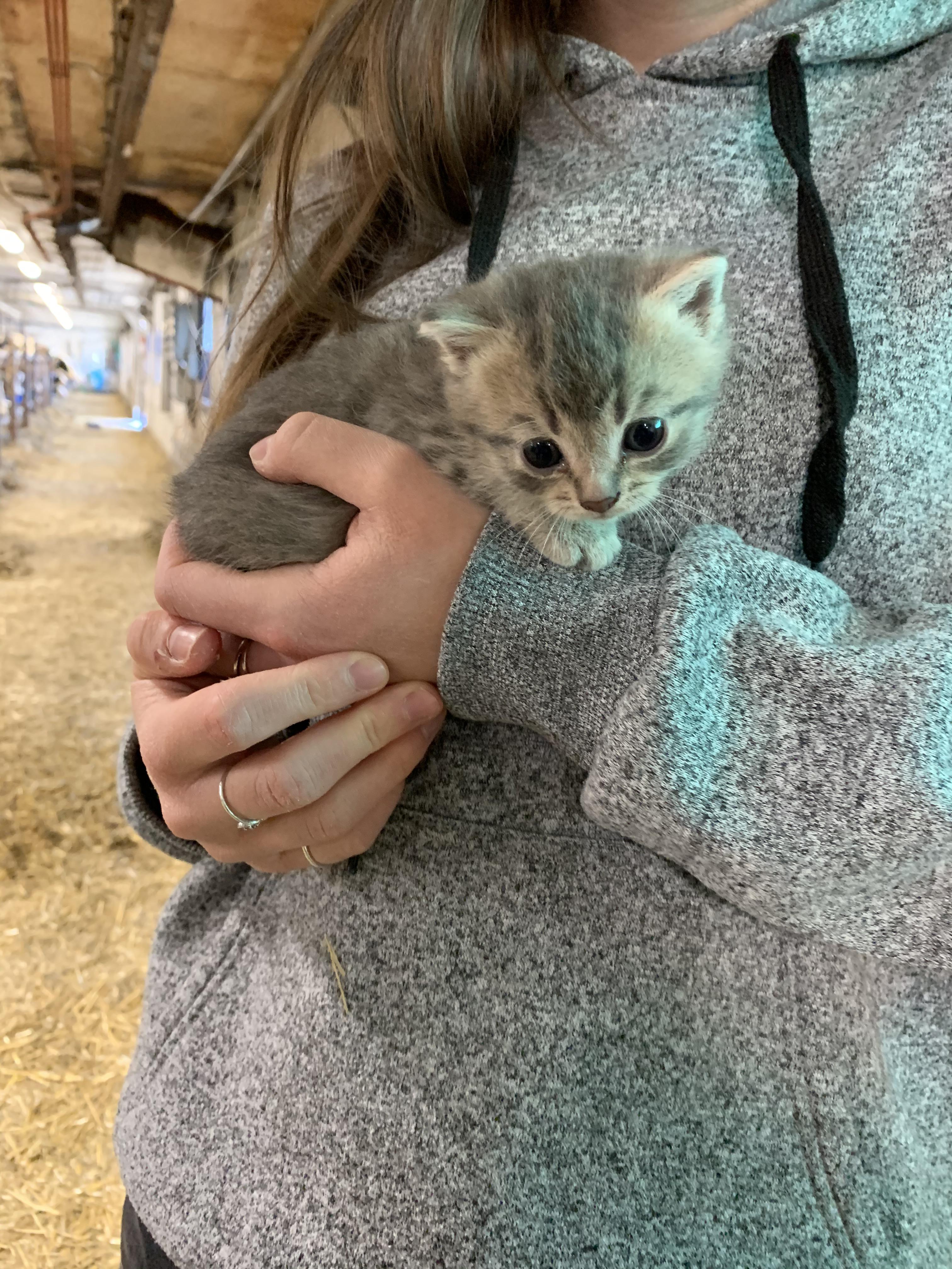 My girlfriend is allergic to cats, but she doesn’t care when they are