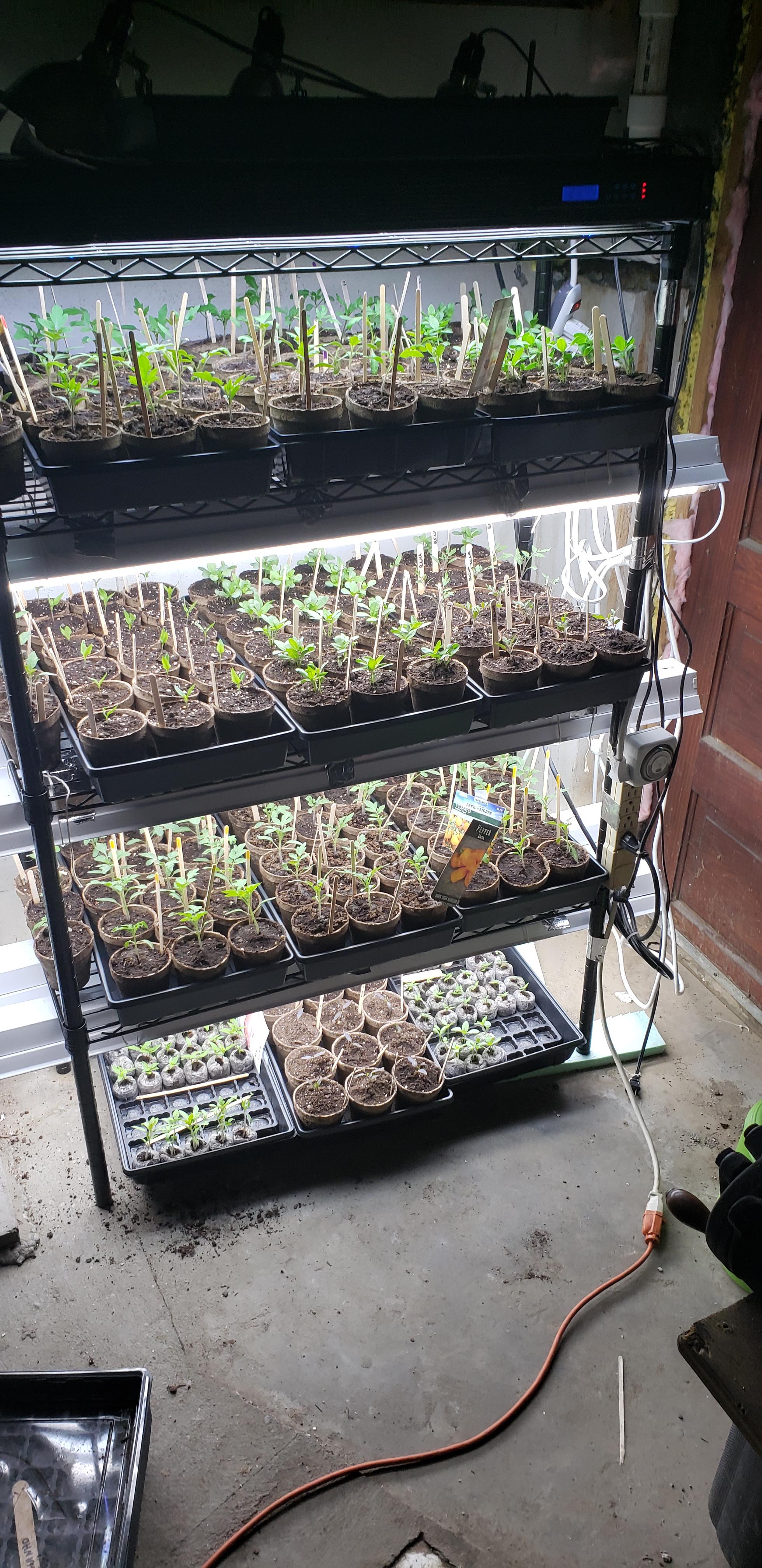 The last frost date can't get here fast enough! r/gardening