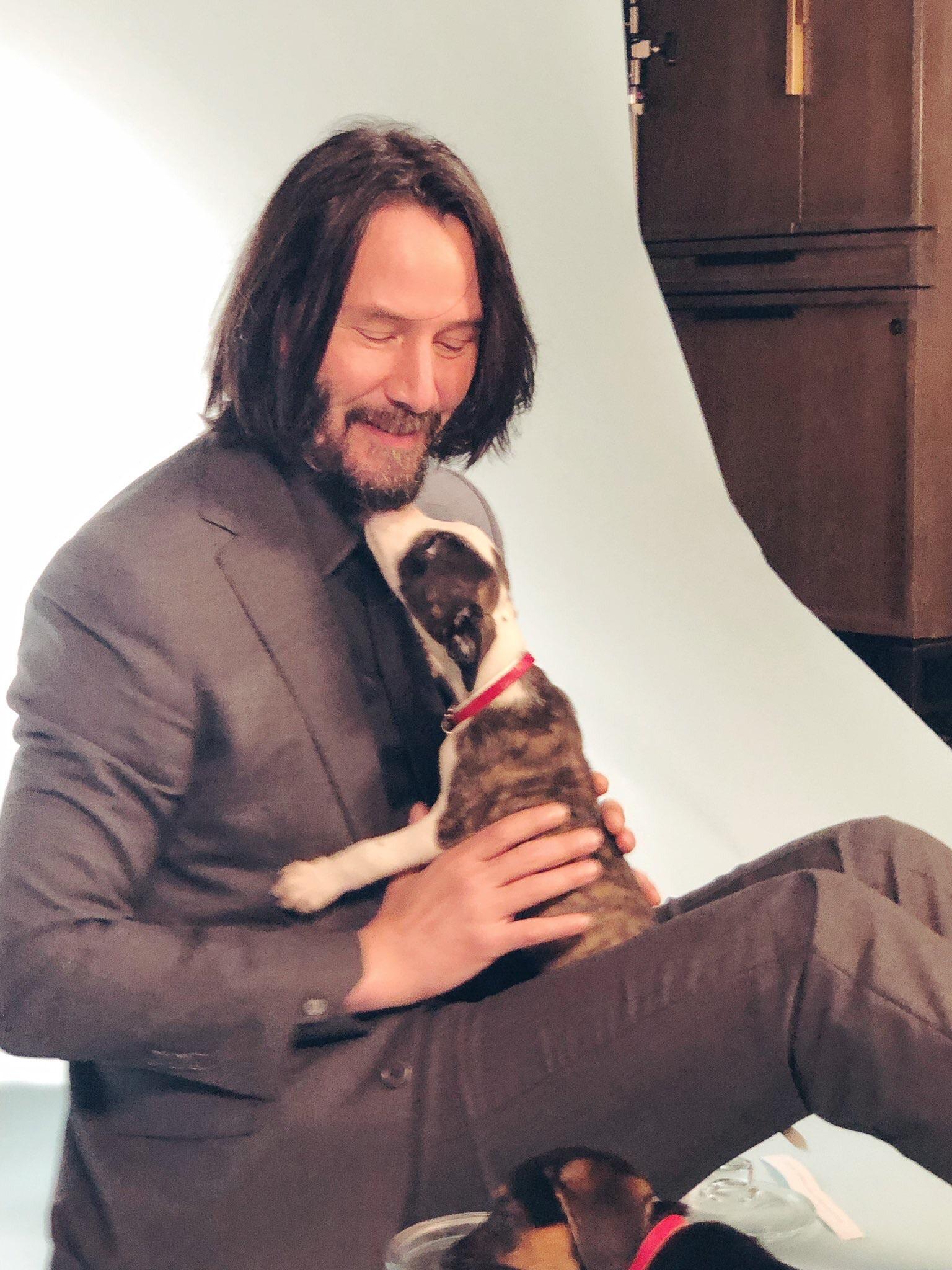 With A Puppy Rkeanubeingawesome