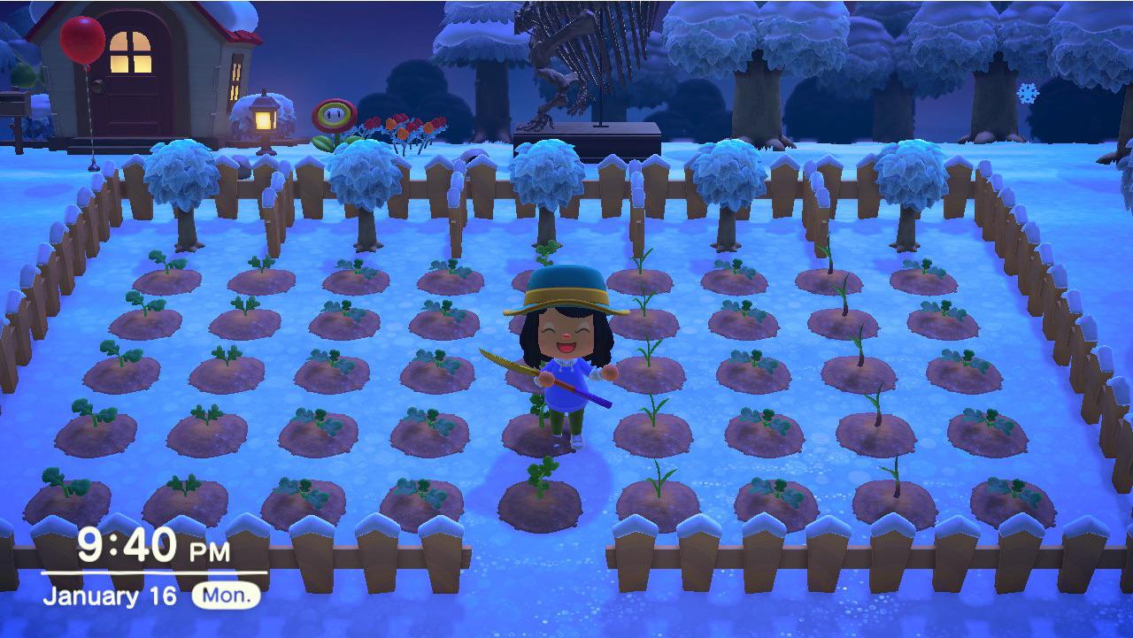 Garden Design w/ fruit trees and veggies! Will be in rainbow order when