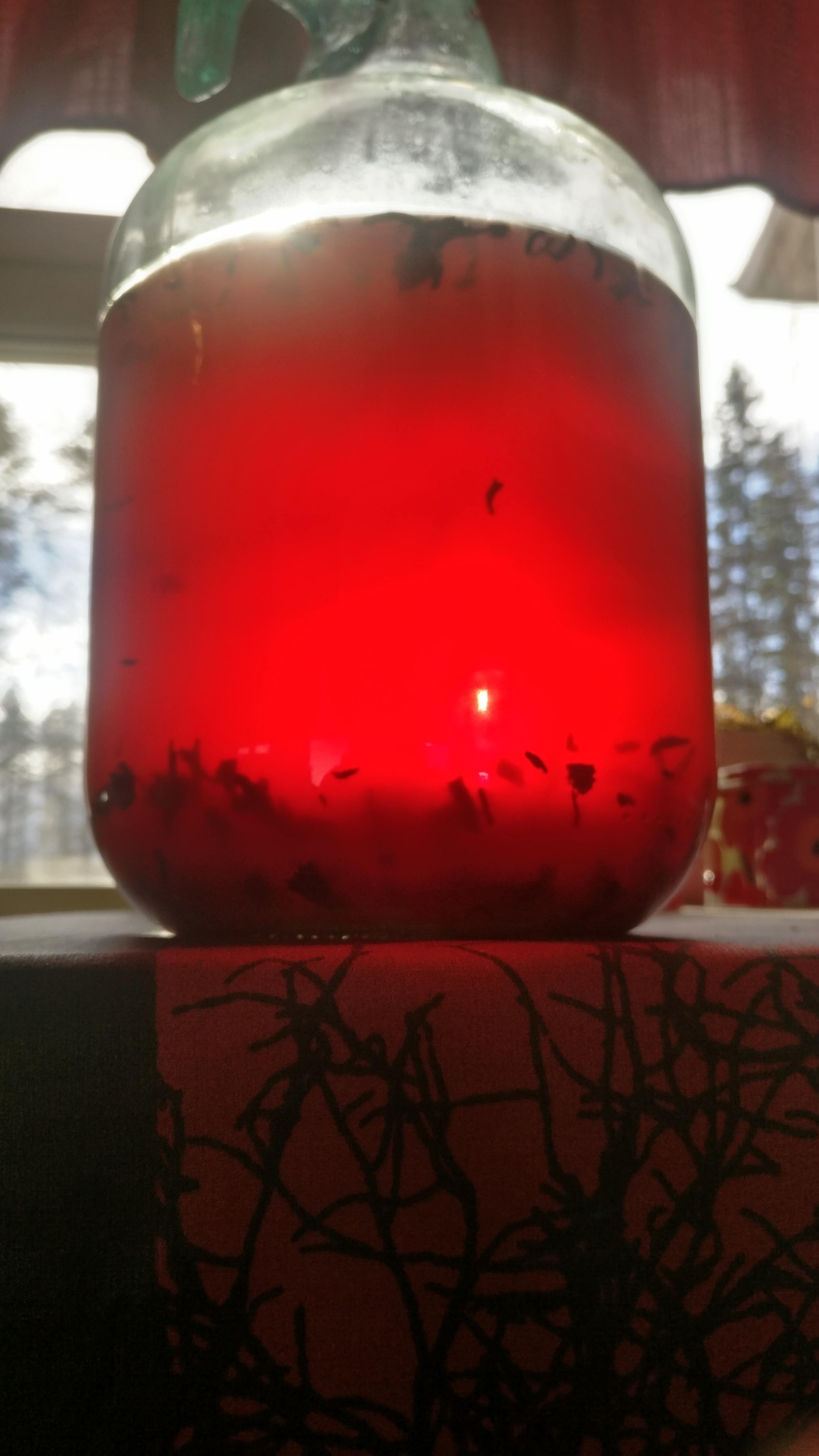 So, the hibiscus mead looks awesome. r/mead