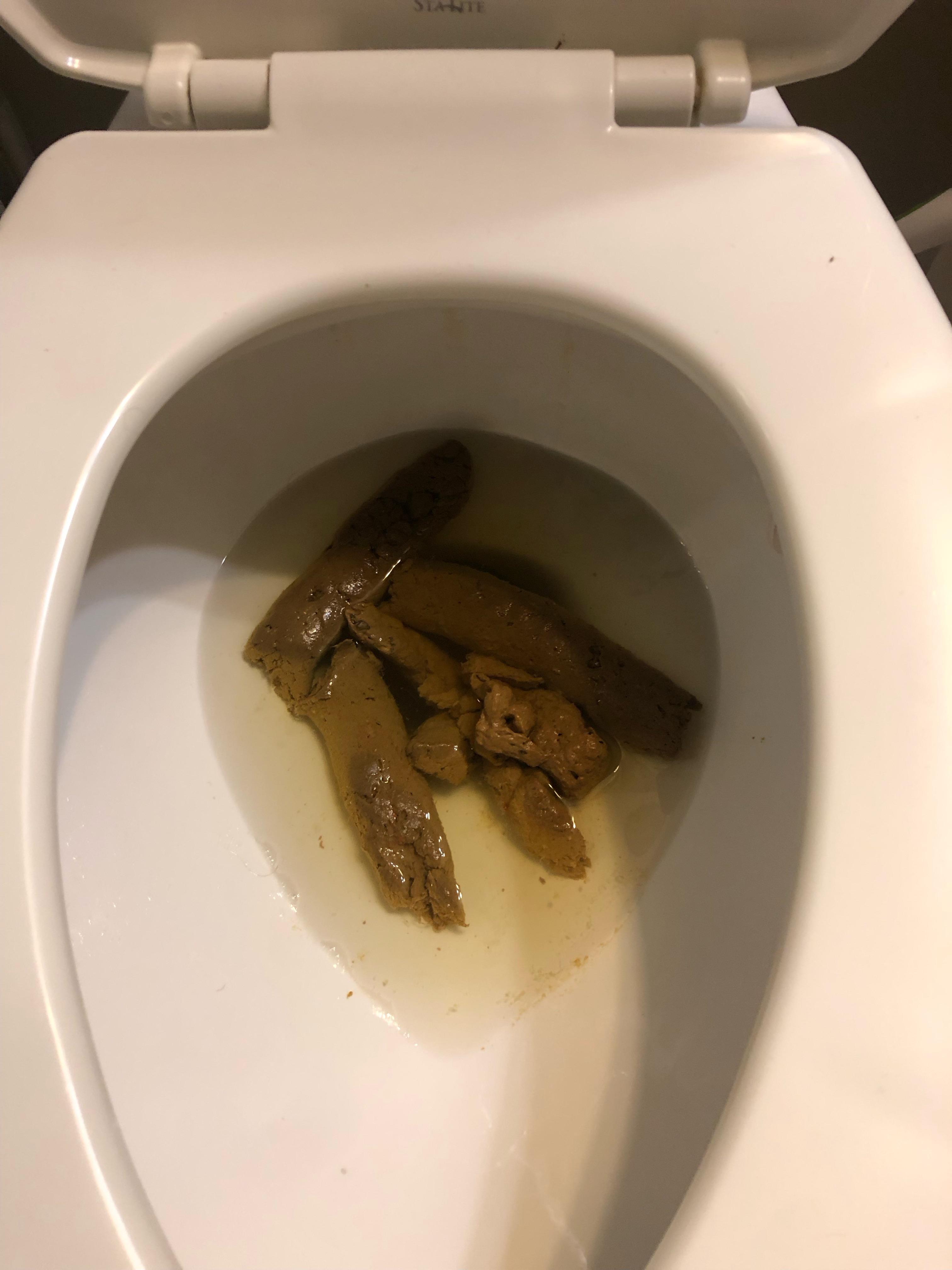 My large protein intake isn’t hitting well r/poop