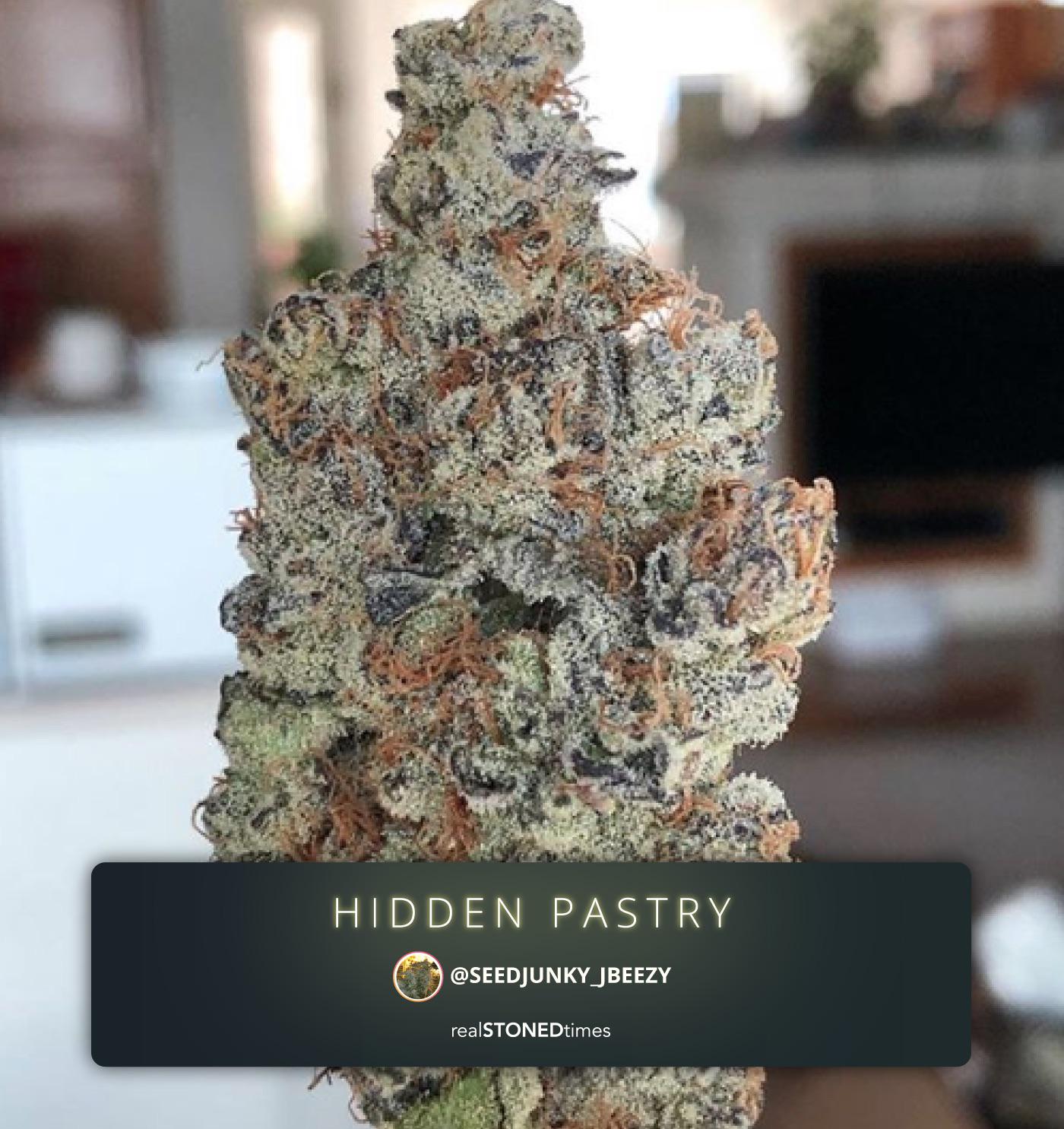 Hidden Pastry 🥮🍃 Indica Secret Cookies x Kush Mints r/trees