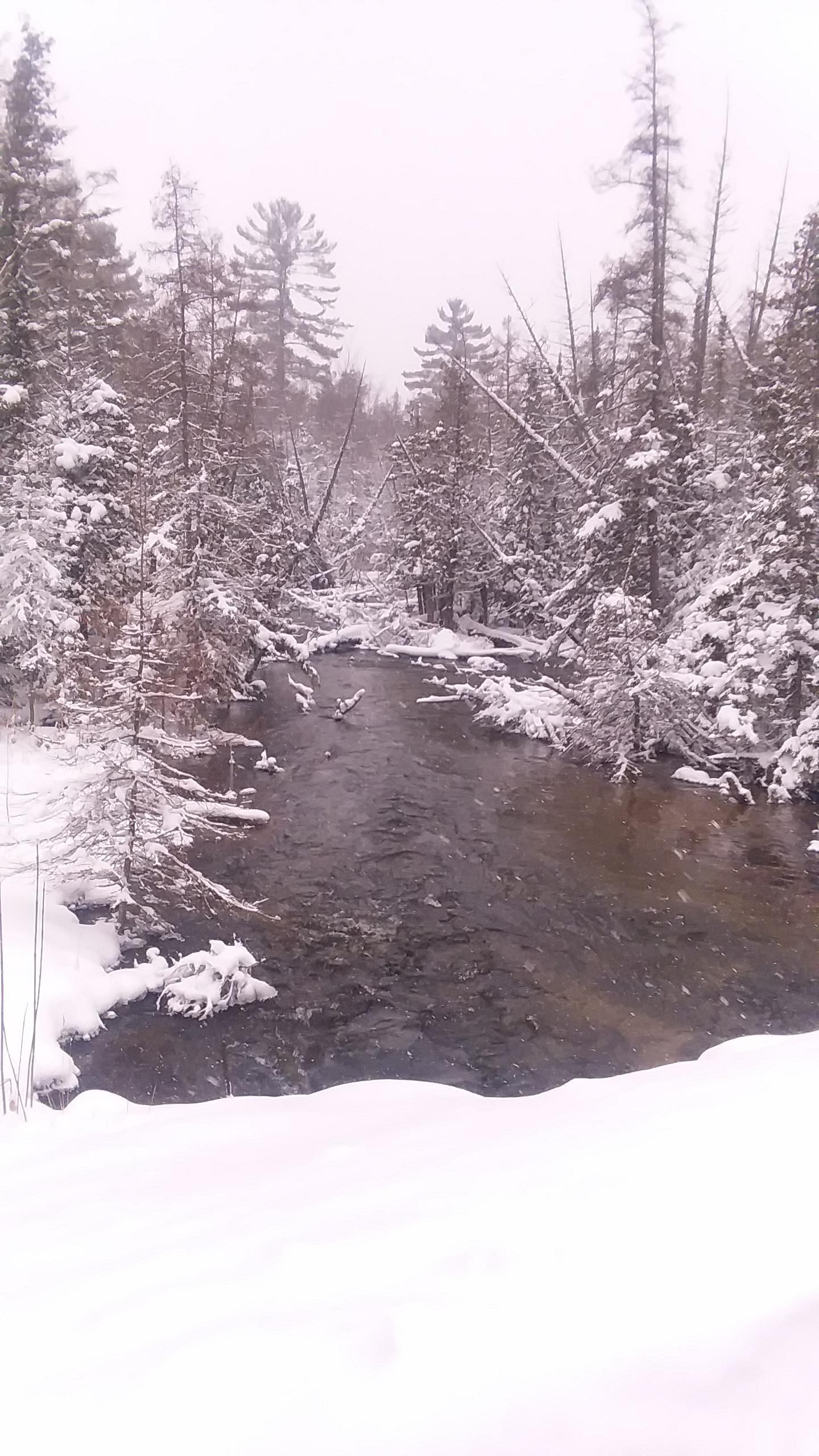 Cedar Creek.....Bellaire MI...starting to look like winter r/snow