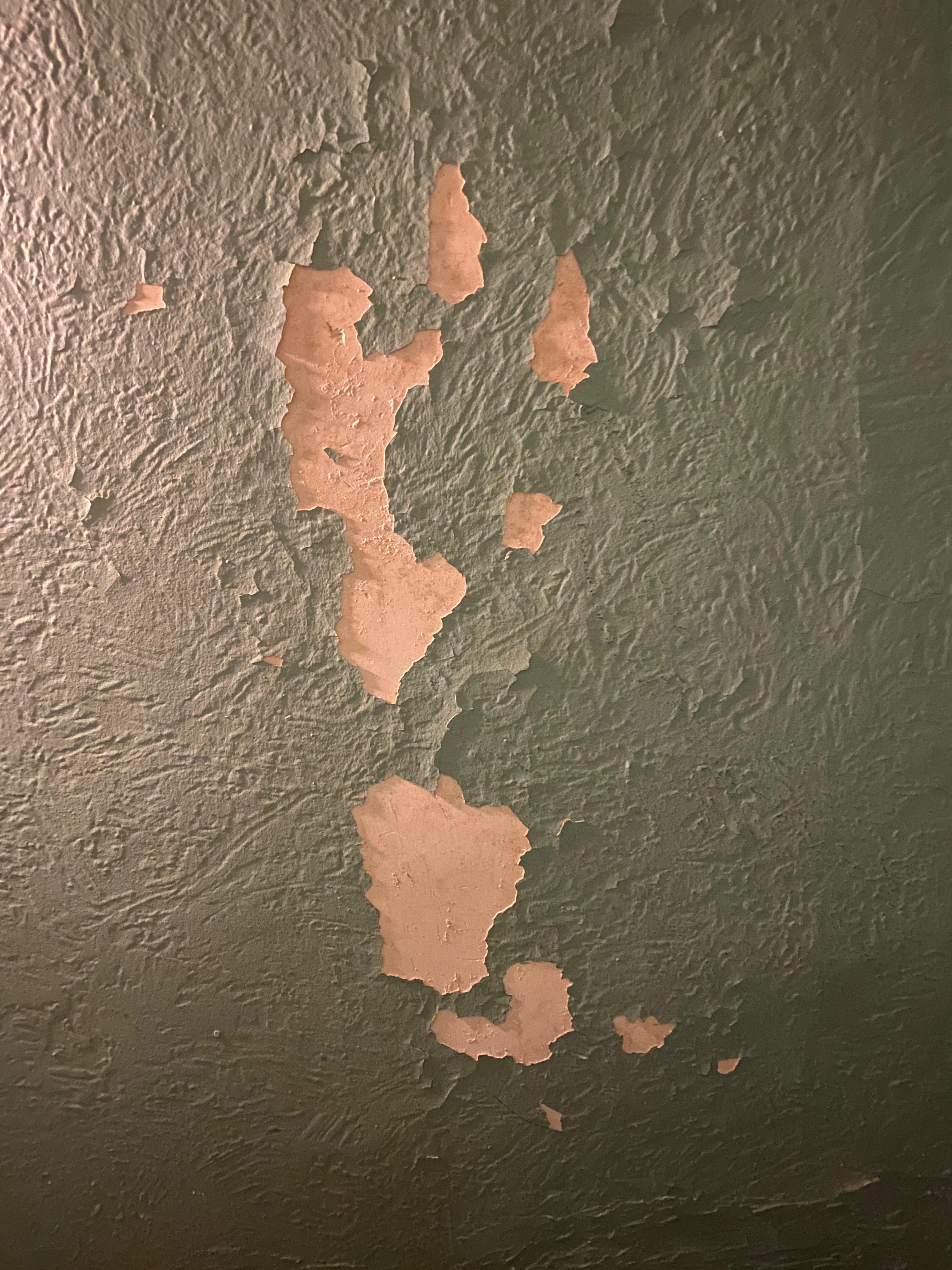 Peel or patch? r/centuryhomes