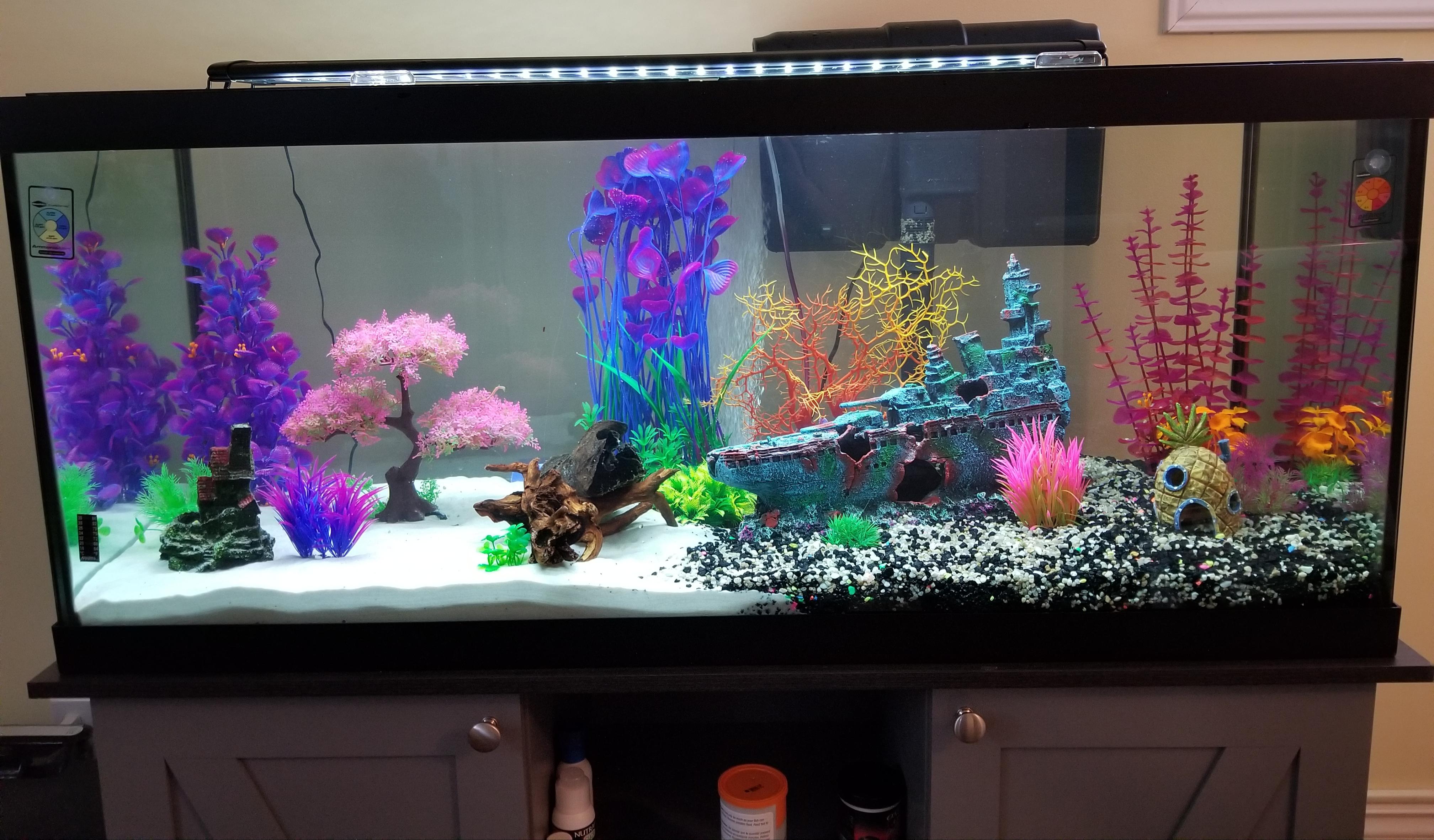 My new 75 gallon tank with fake plant/decor installed. Two weather