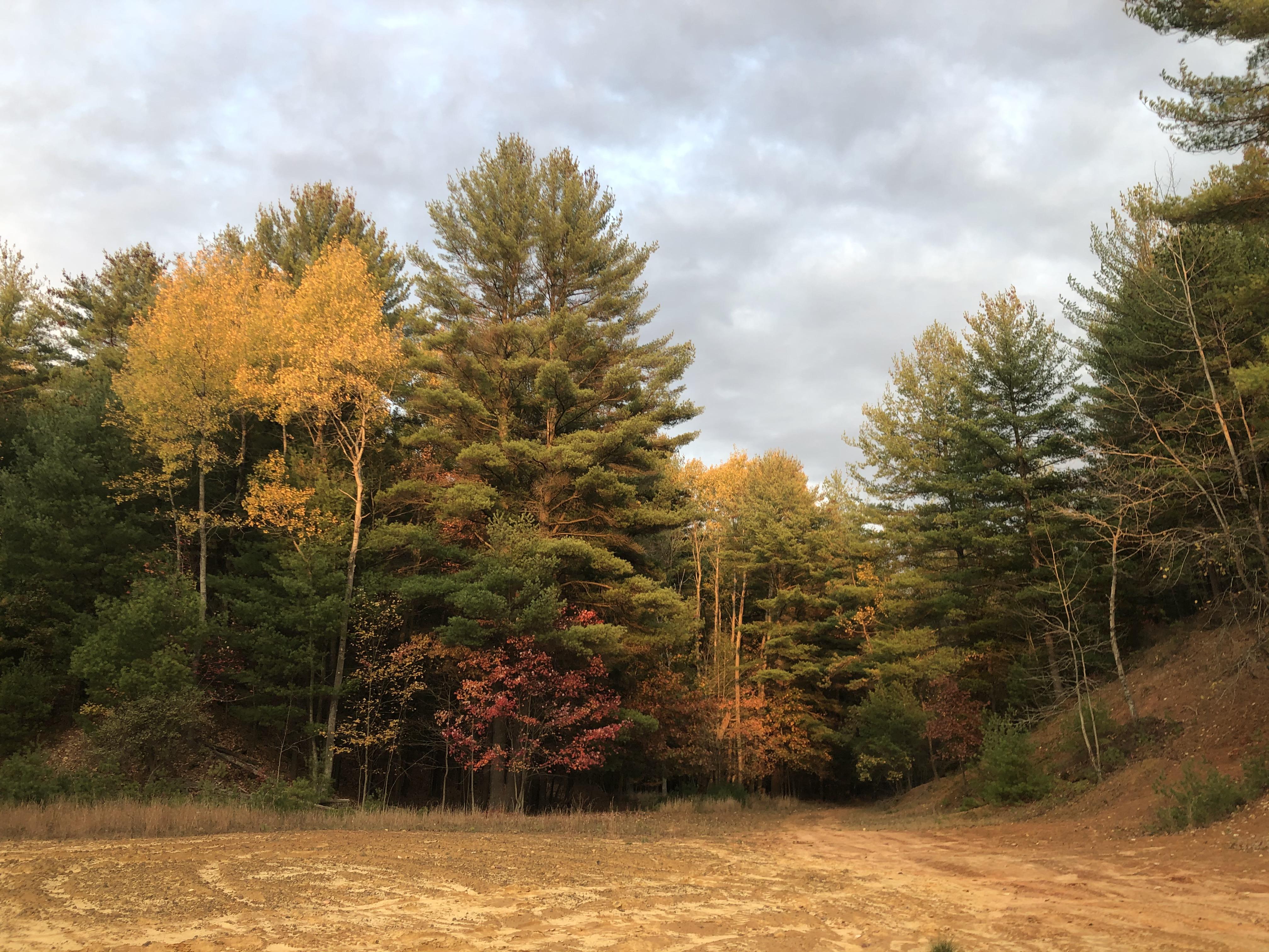 Sand pits and fall colors near Pine Grove Mills r/Pennsylvania