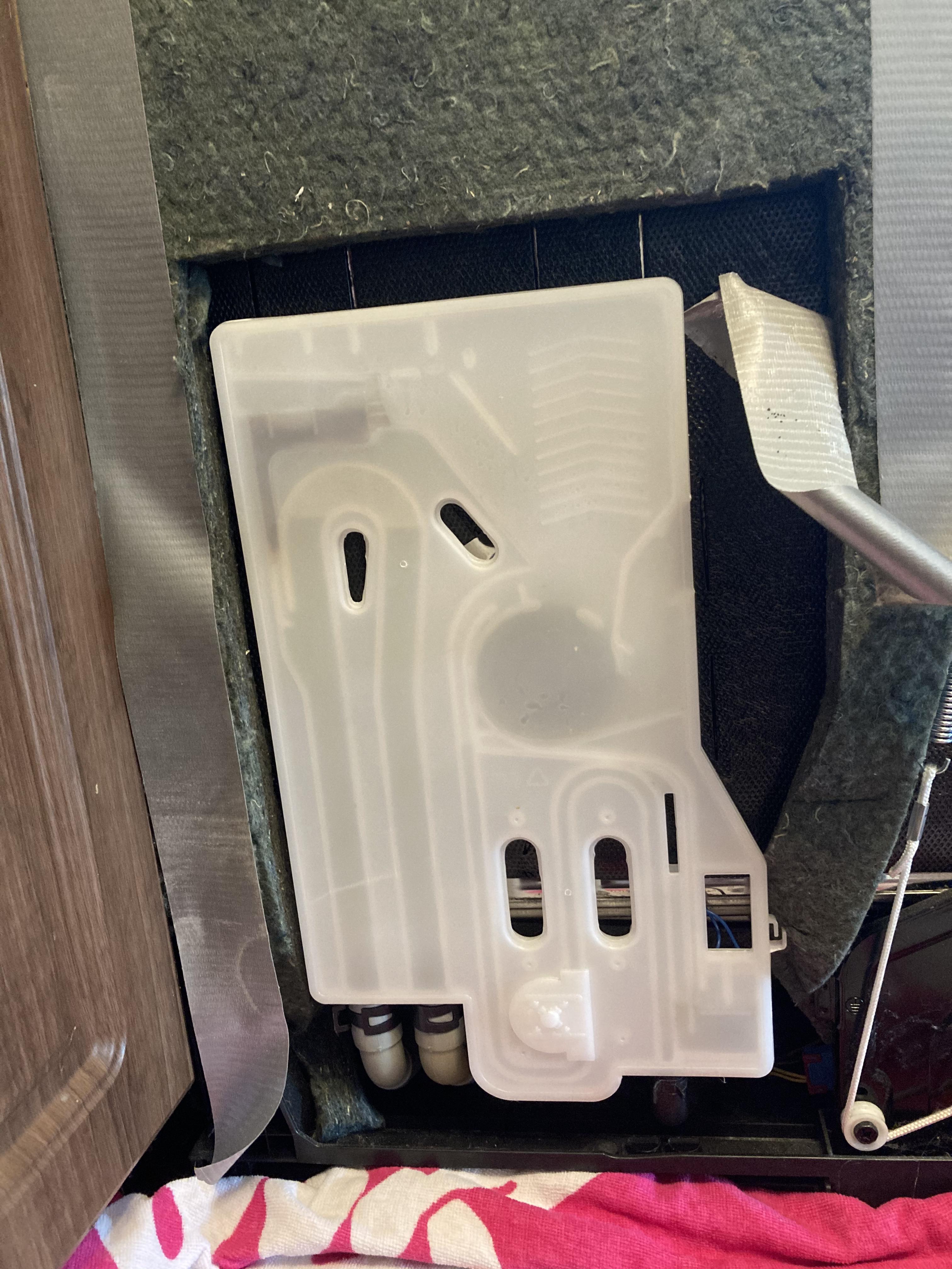 Samsung Smart dishwasher is this mold in the assembly plate? r