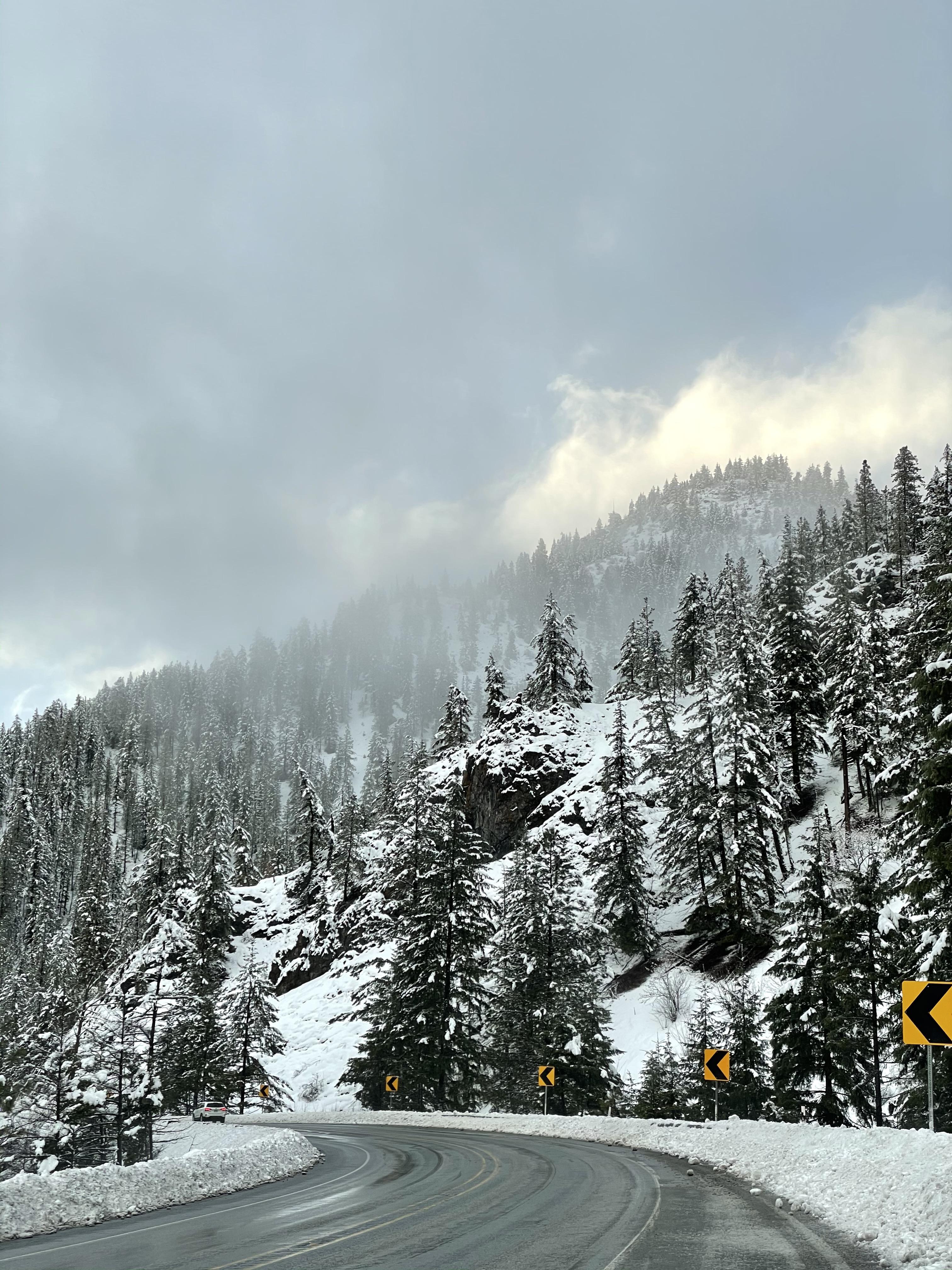 On the road to Leavenworth, Washington. This is the Wenatchee National