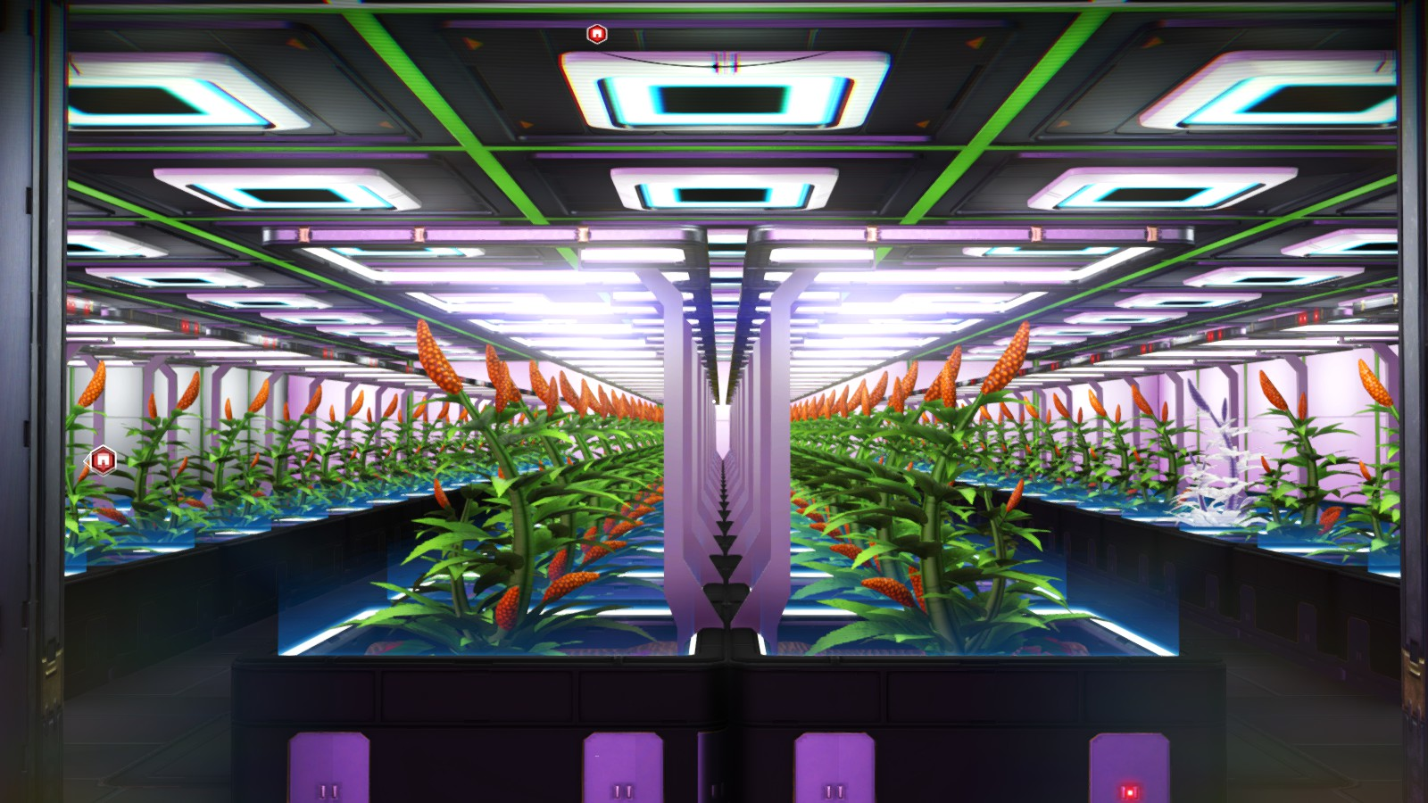 What an 80 plant NipNip farm looks like on a freighter.... r