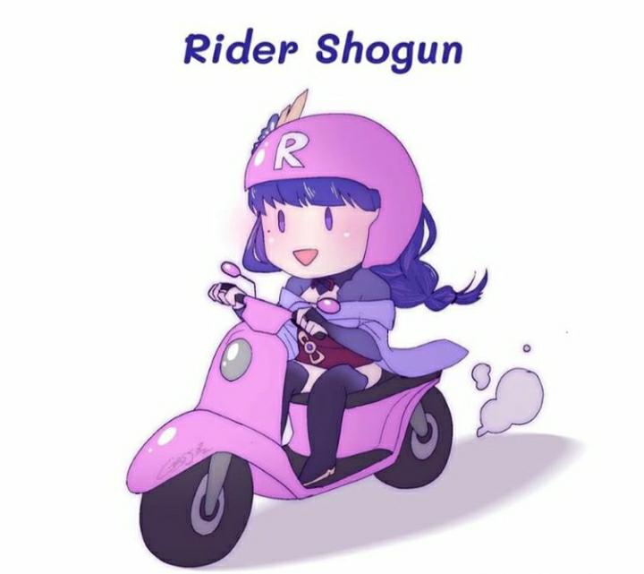 Rider Shogun RaidenMains