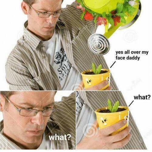 When plant rights activists start getting into your head