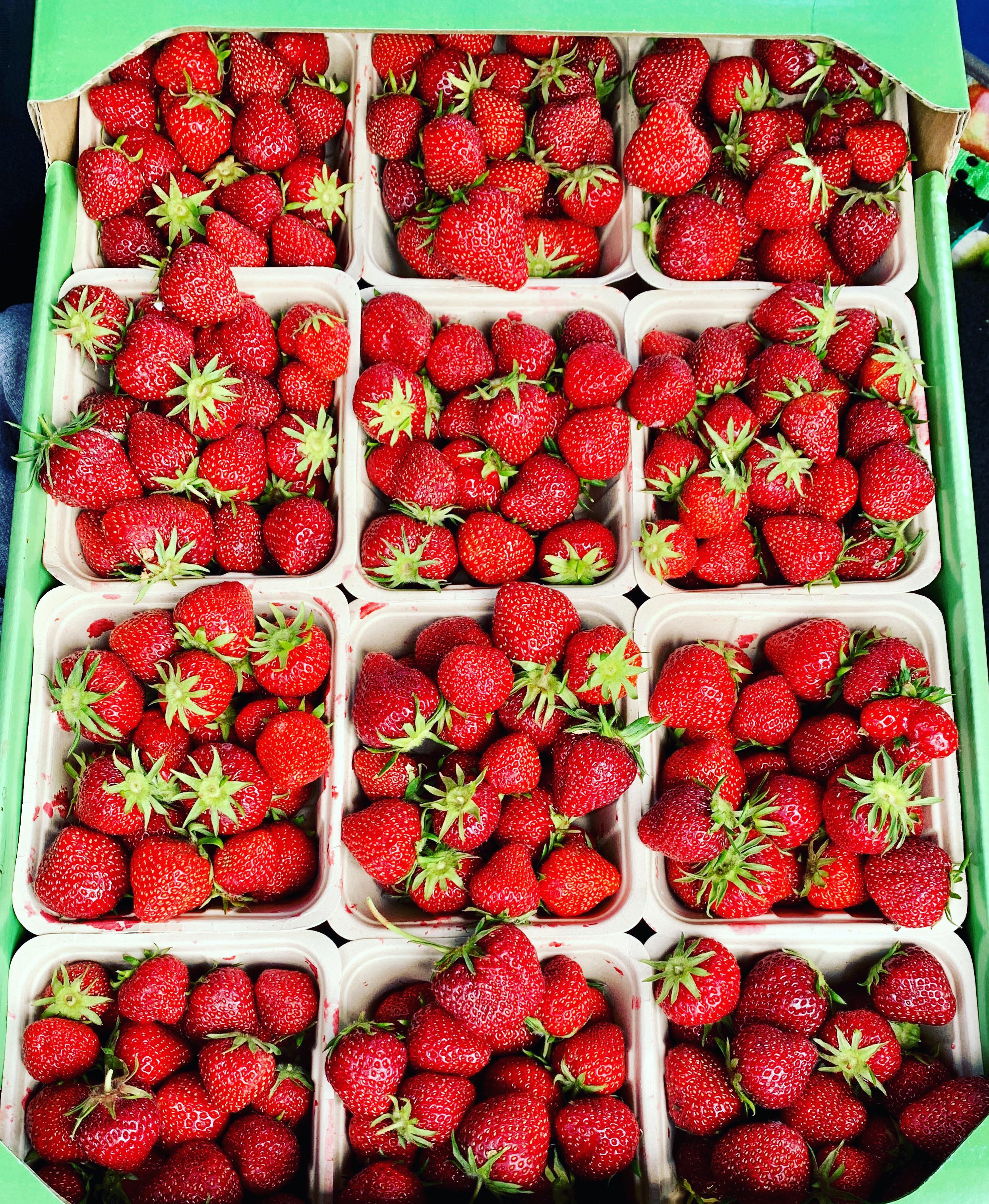 [i ate] locally grown strawberries r/food