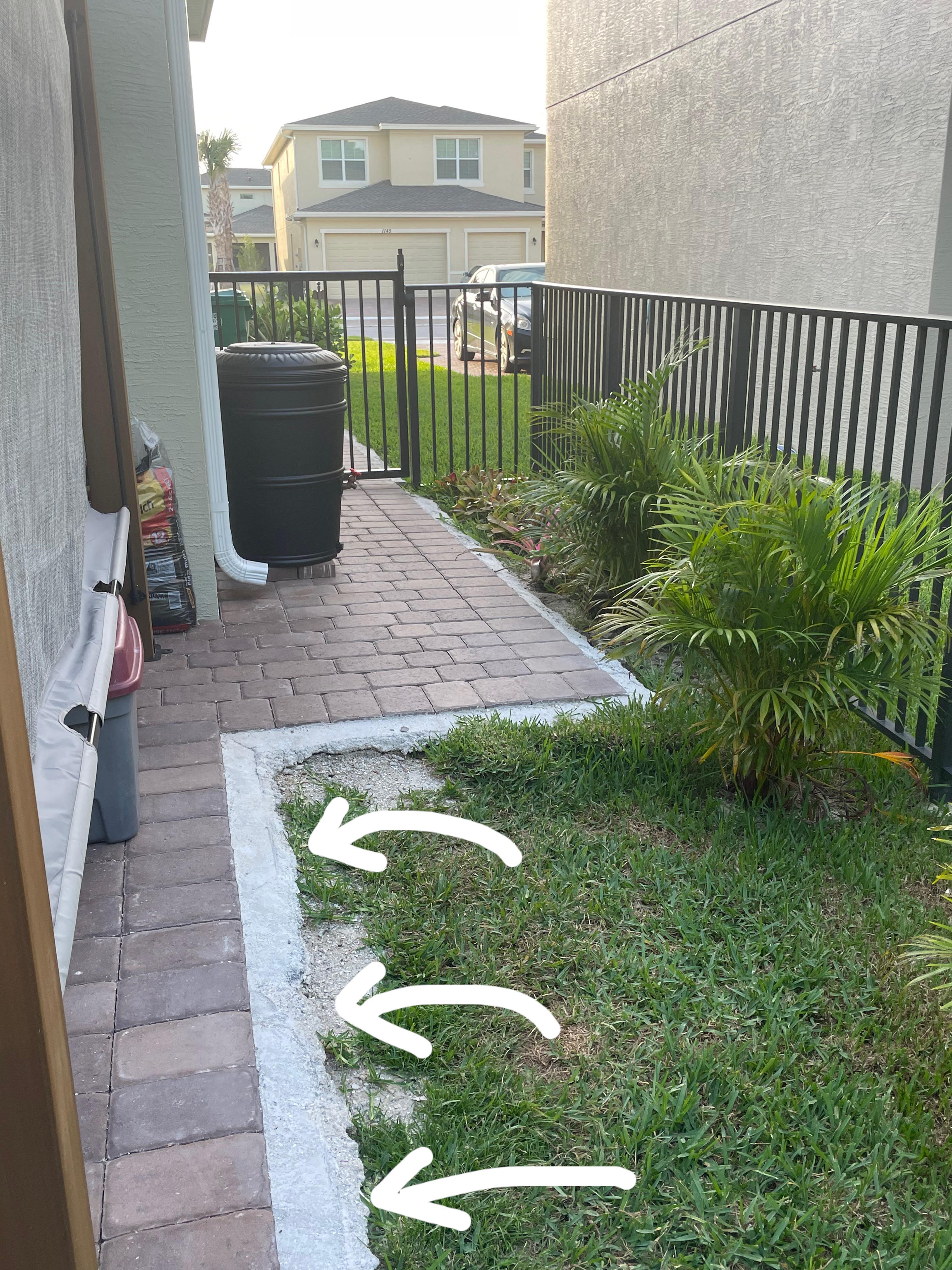 Please give ideas of what to plant to hide ugly concrete r/FloridaGarden
