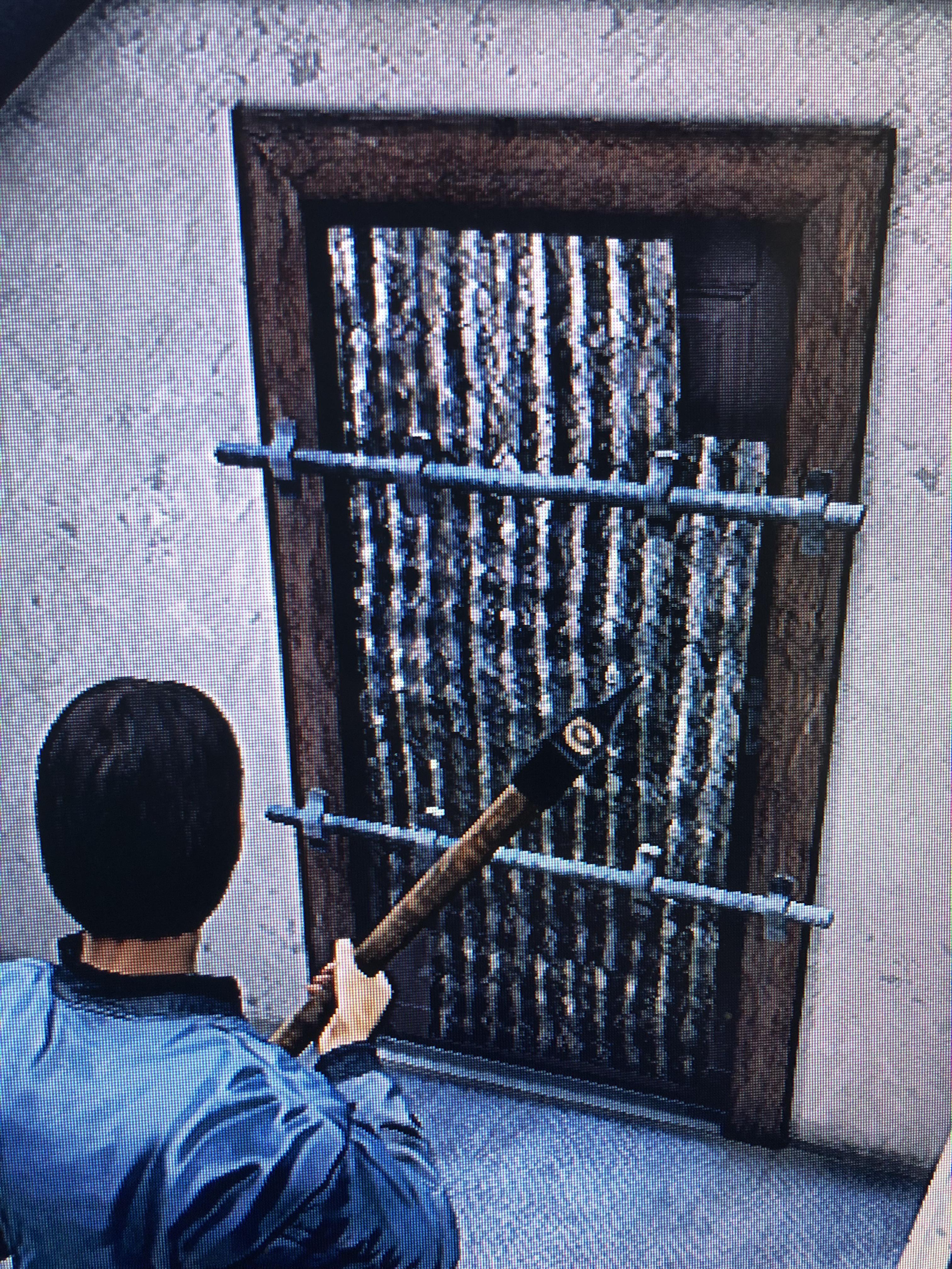 What’s behind the barred interior doors in the houses? r/dayz