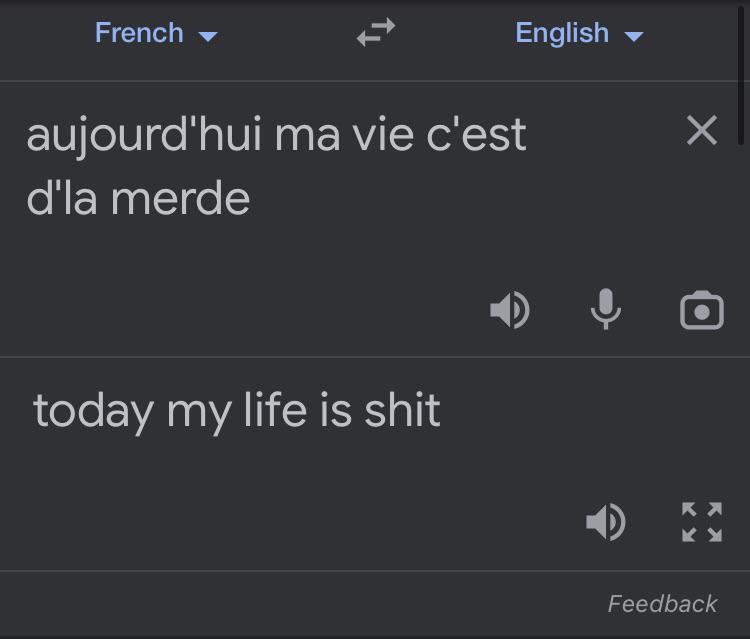 207 best Merde images on Pholder Rance, History Memes and France