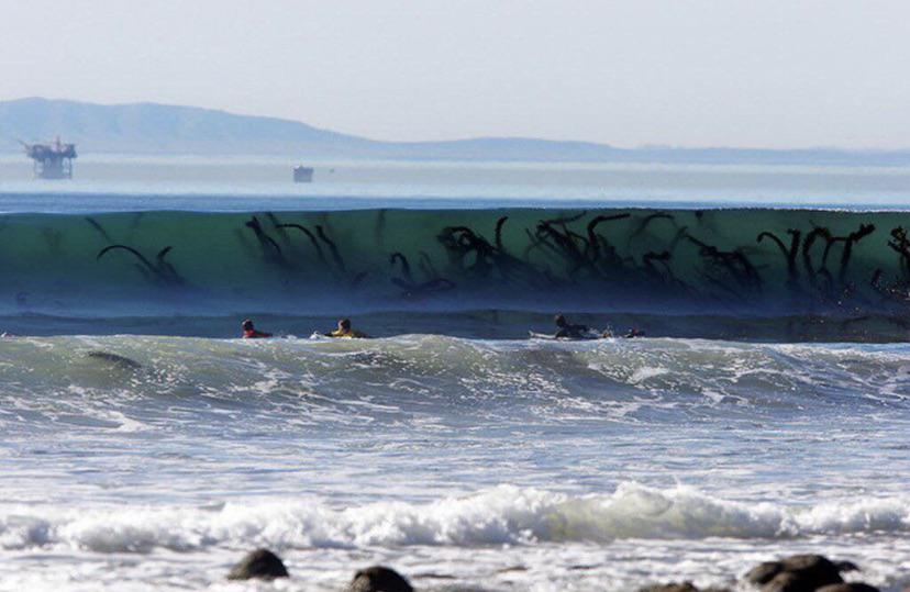 what you know about rolling down in the deep? r/oddlyterrifying