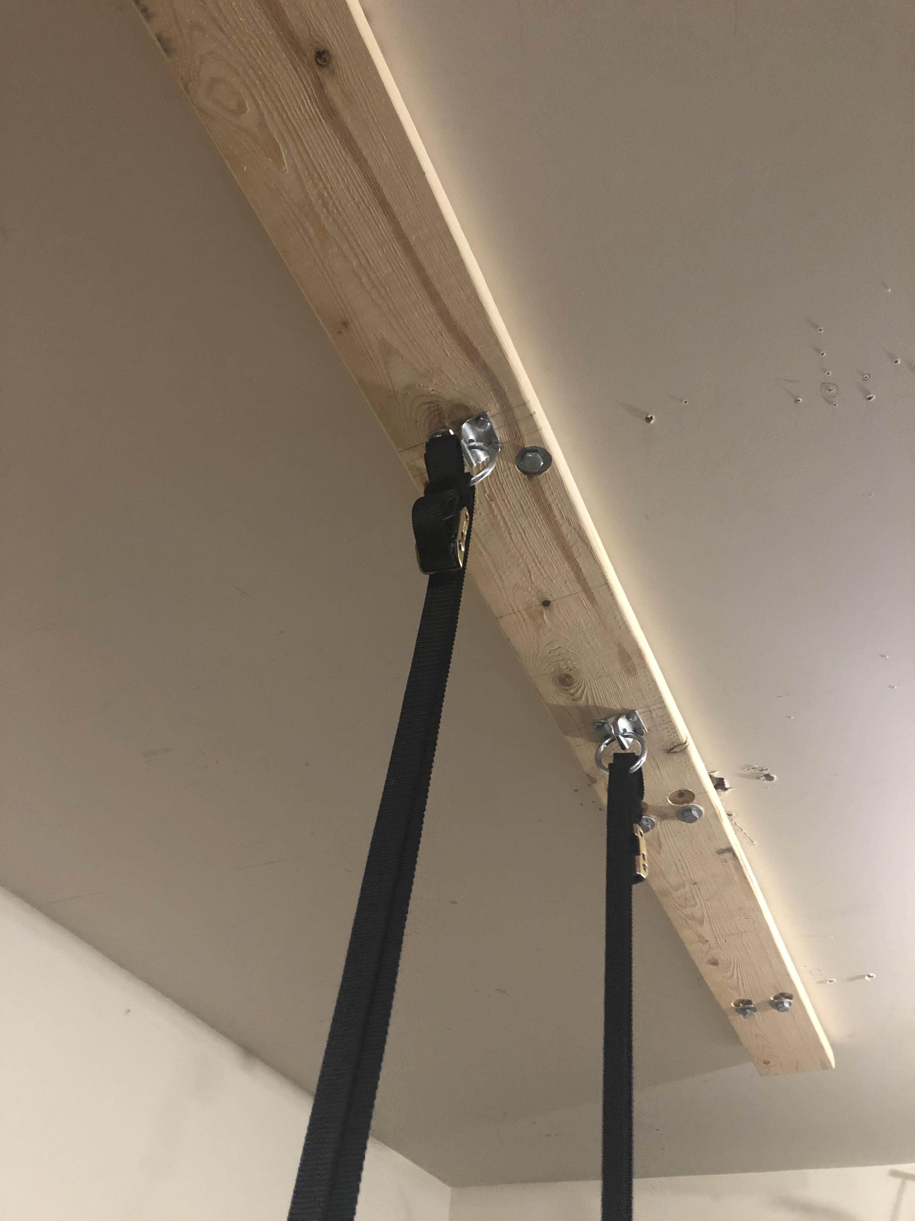 Ceiling mount for rings r/homegym