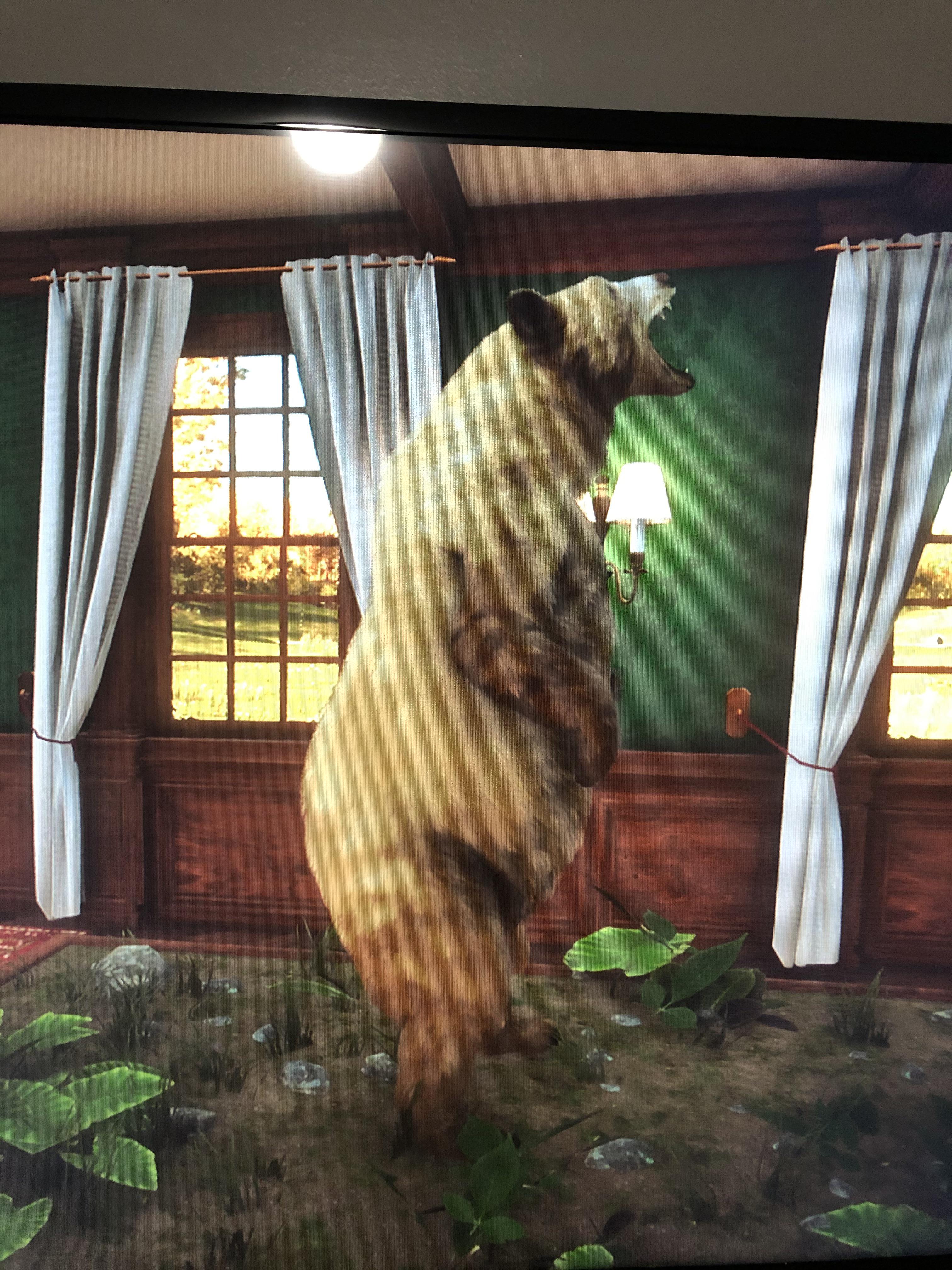 Here it is! I finally made my rare female blonde fur black bear into a