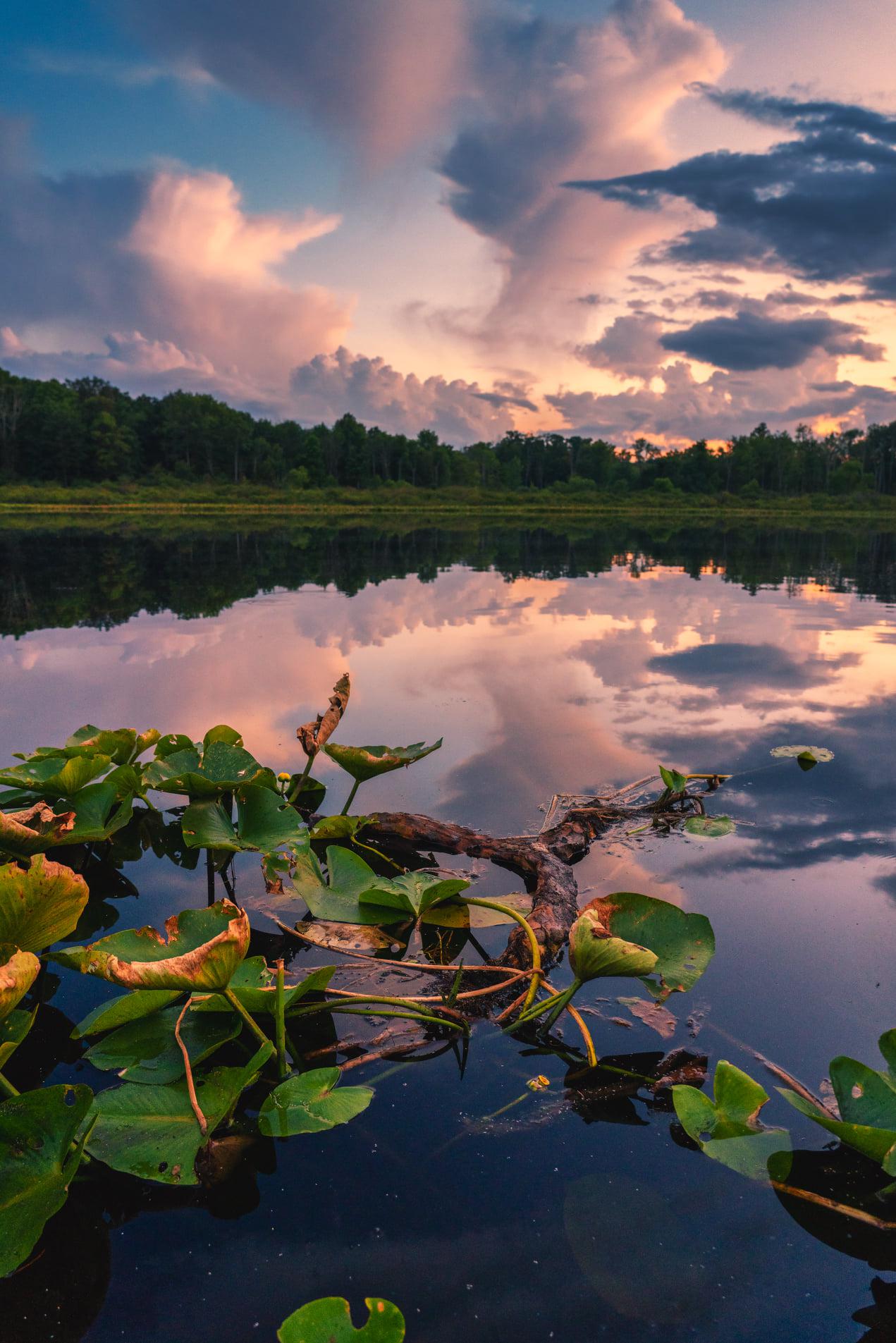 Bath Nature Preserve, Ohio. [OC][1271 x 1905] r/EarthPorn