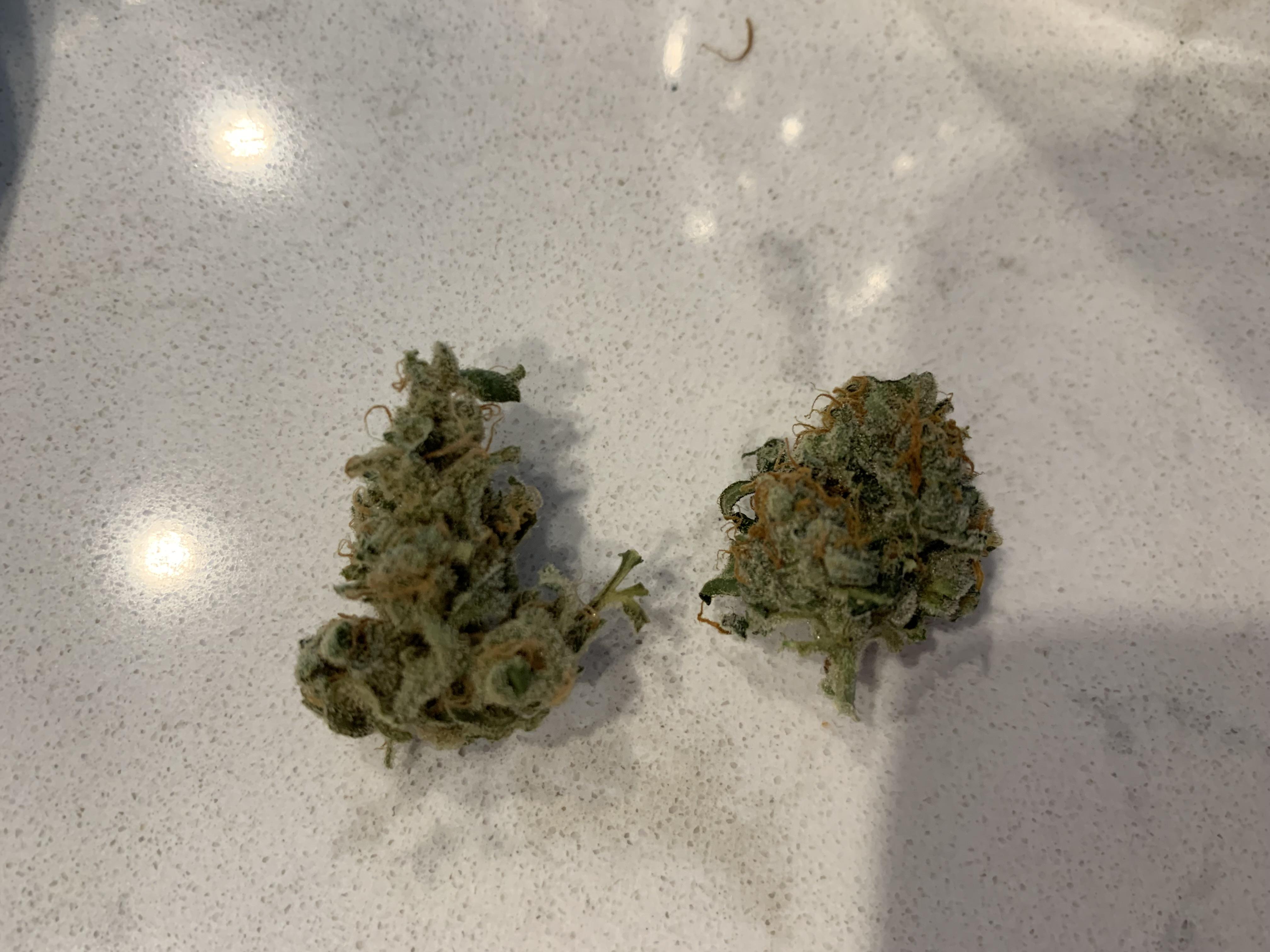 First vs. Second grow bud density MephHeads