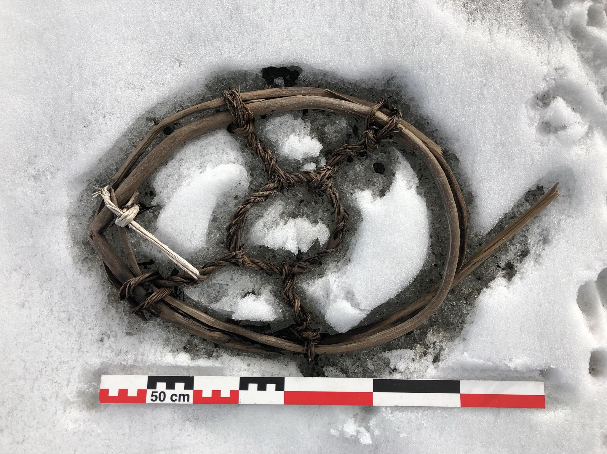 Viking/Medieval age horse snow shoe found perfectly preserved in