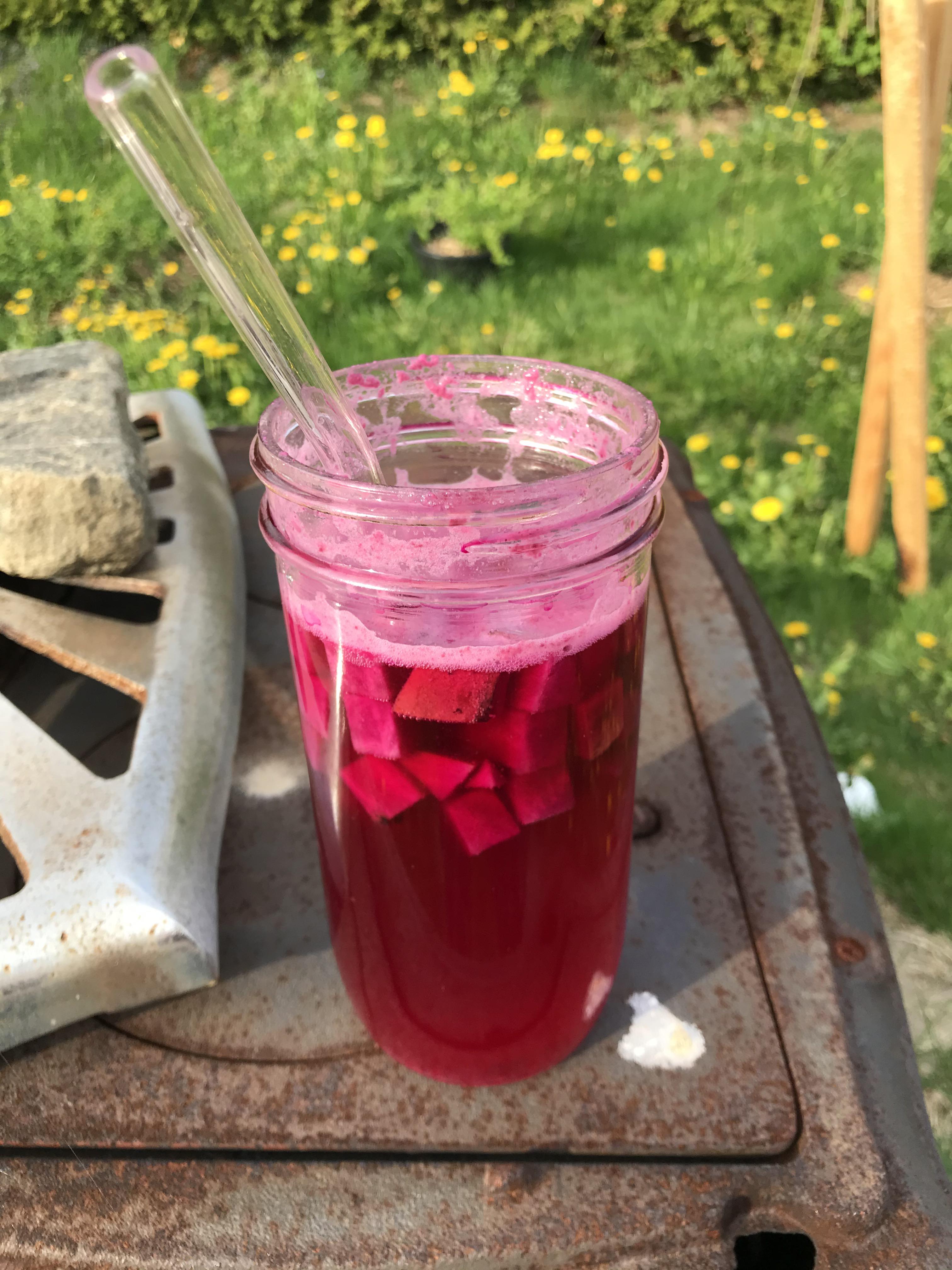 F2 Water kefir/24 hres beet kvass brew r/WaterKefir
