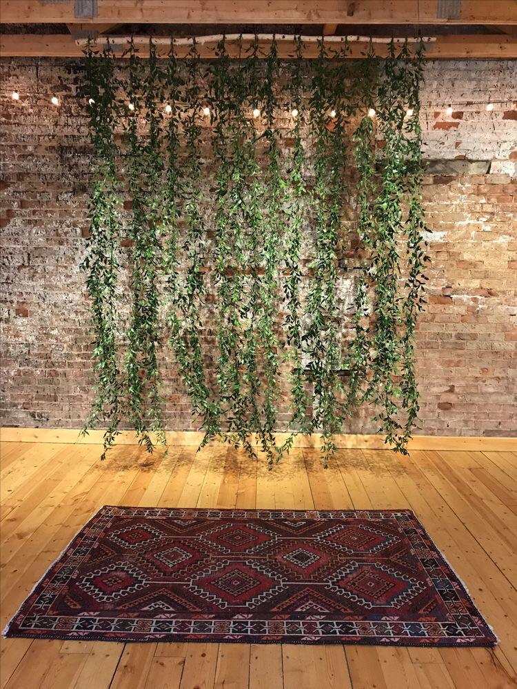 Does anyone know what greenery this is? And what would be the cheapest