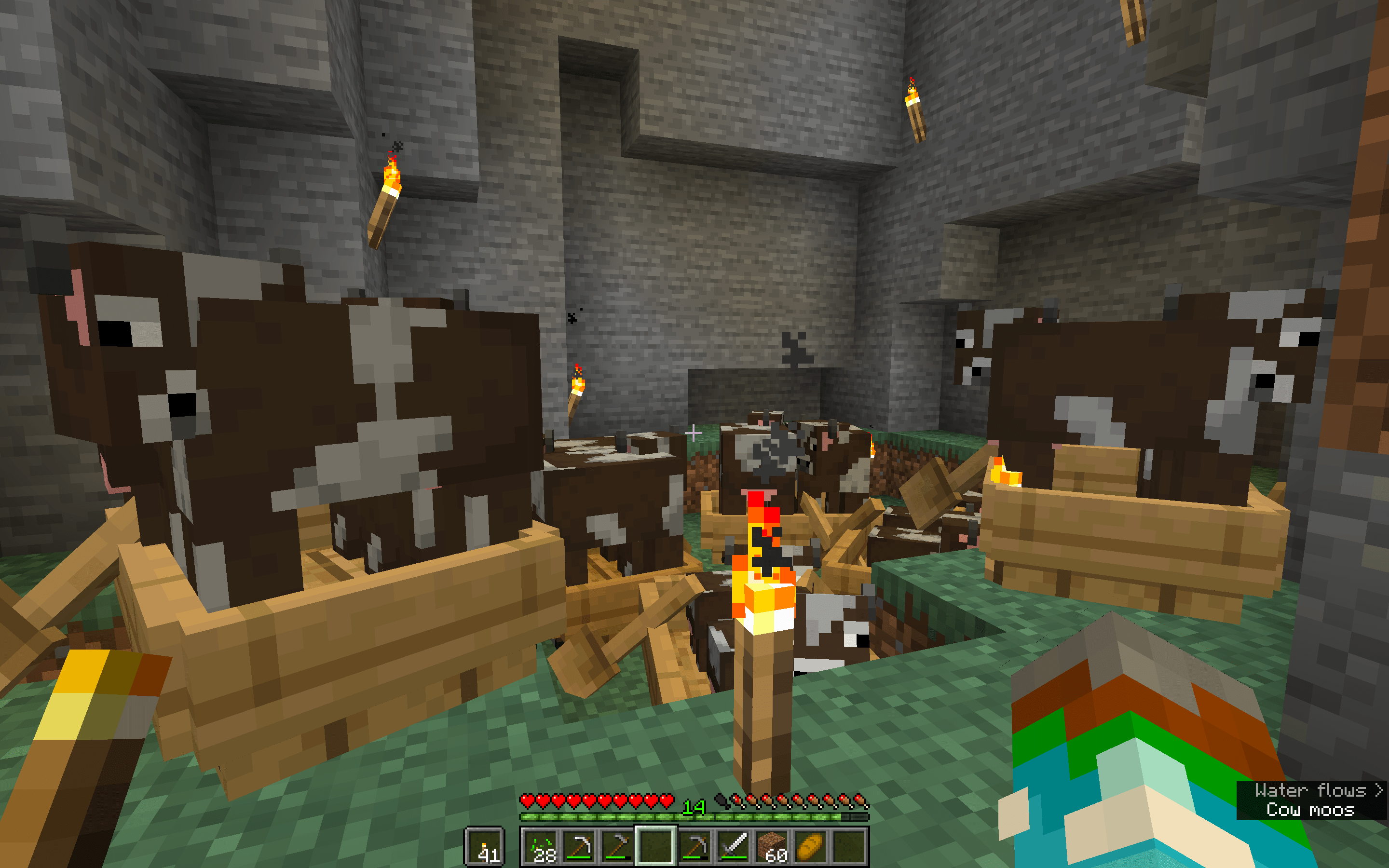 Keep cows in boats to prevent movement and make breeding easier! r