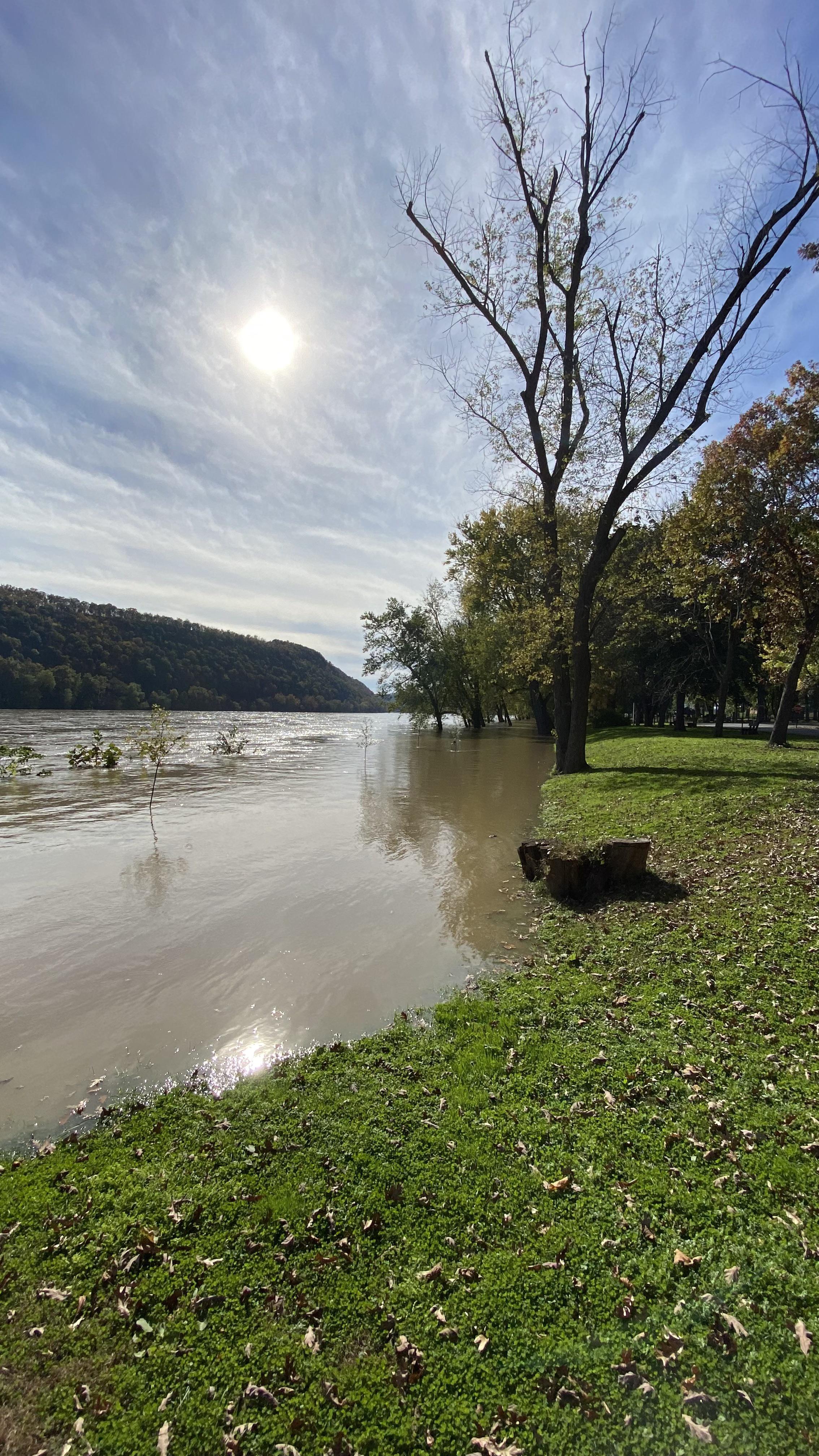 The Susquehanna is a bit high in Bloomsburg today. r/Pennsylvania