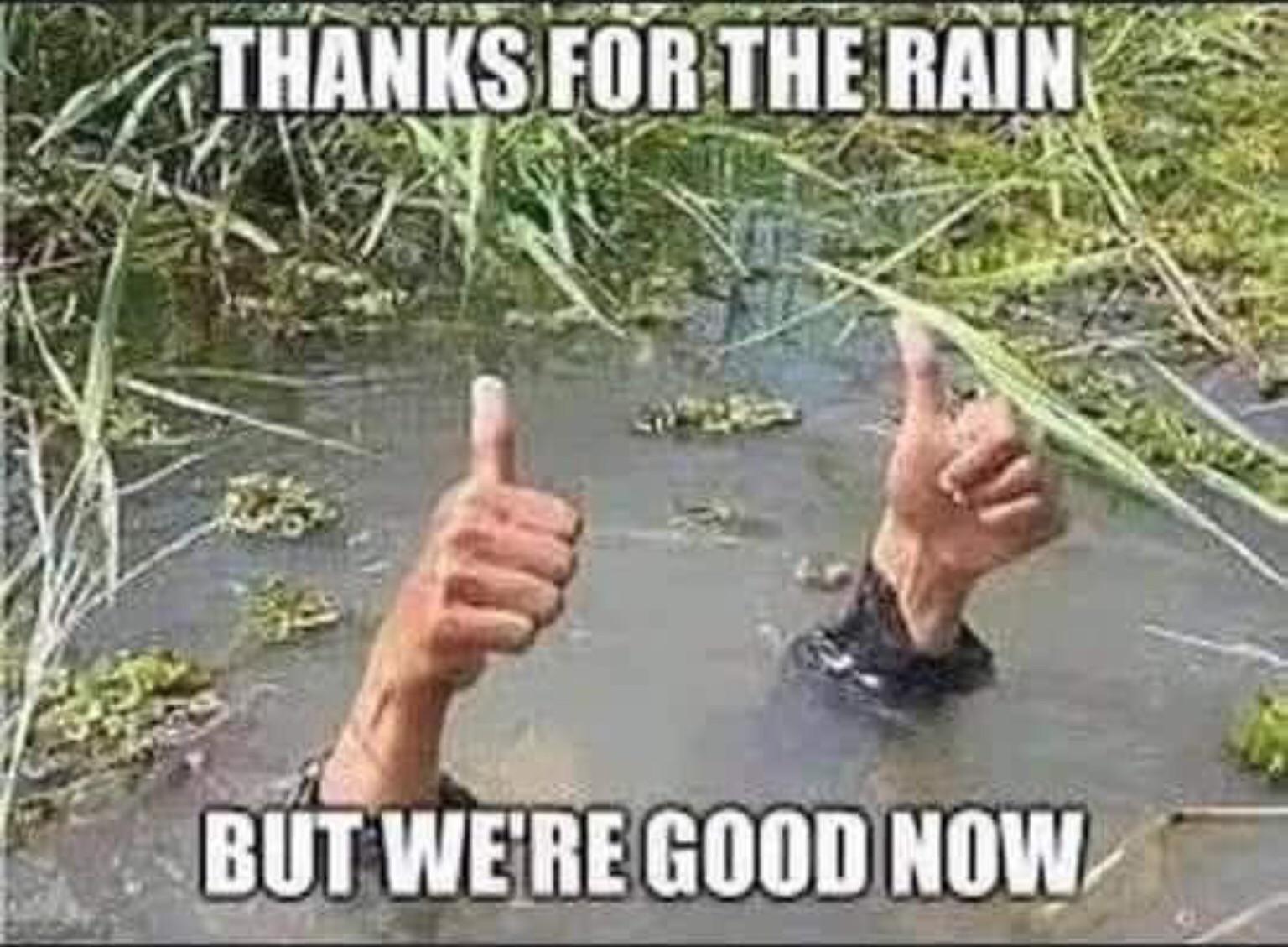 Hope I’m allowed to post this, but really feeling this today! (meme not