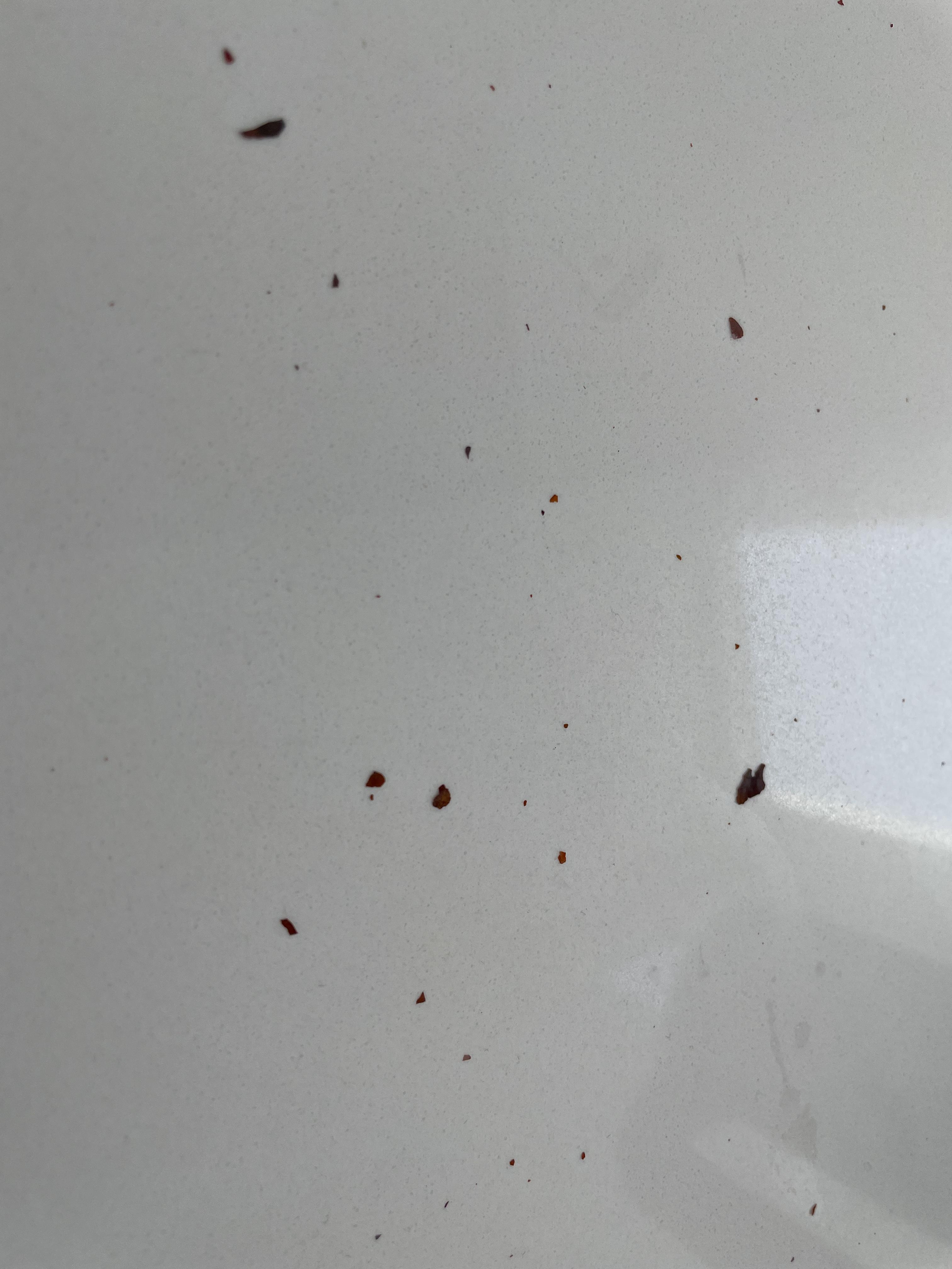 These reddish brown flakes were coming out of our AC vents. Any idea