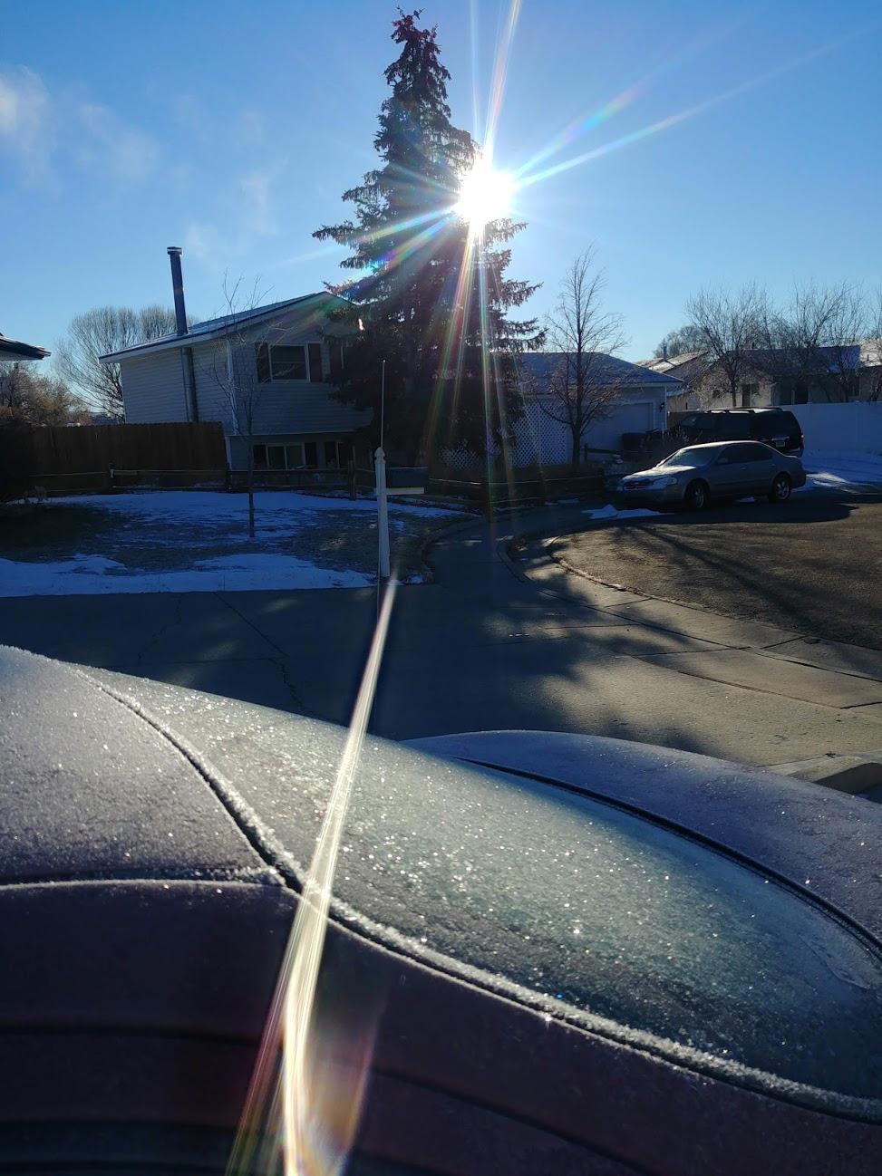 The way the neighbors' tree blocks the sun from thawing out my car in