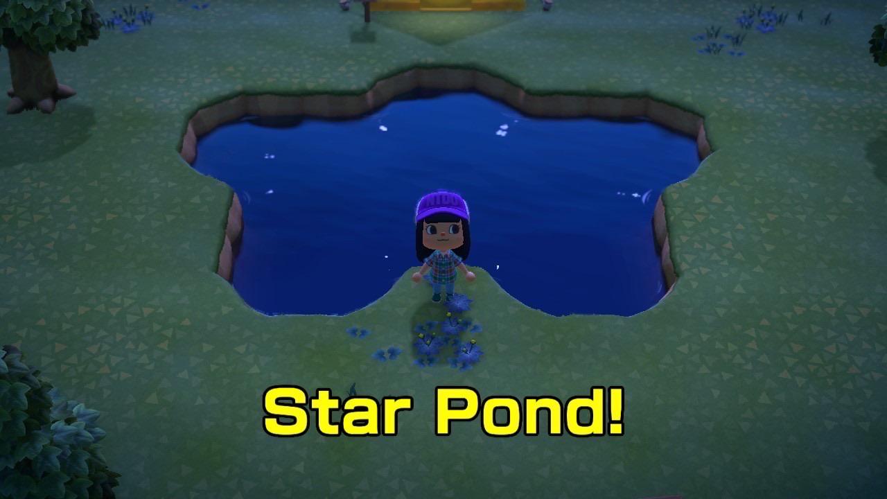 Acnh Pond Idea Best Decorations