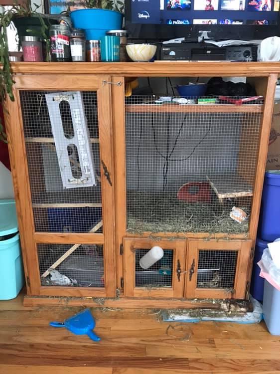 Bunny hutch made from an entertainment center r/upcycling