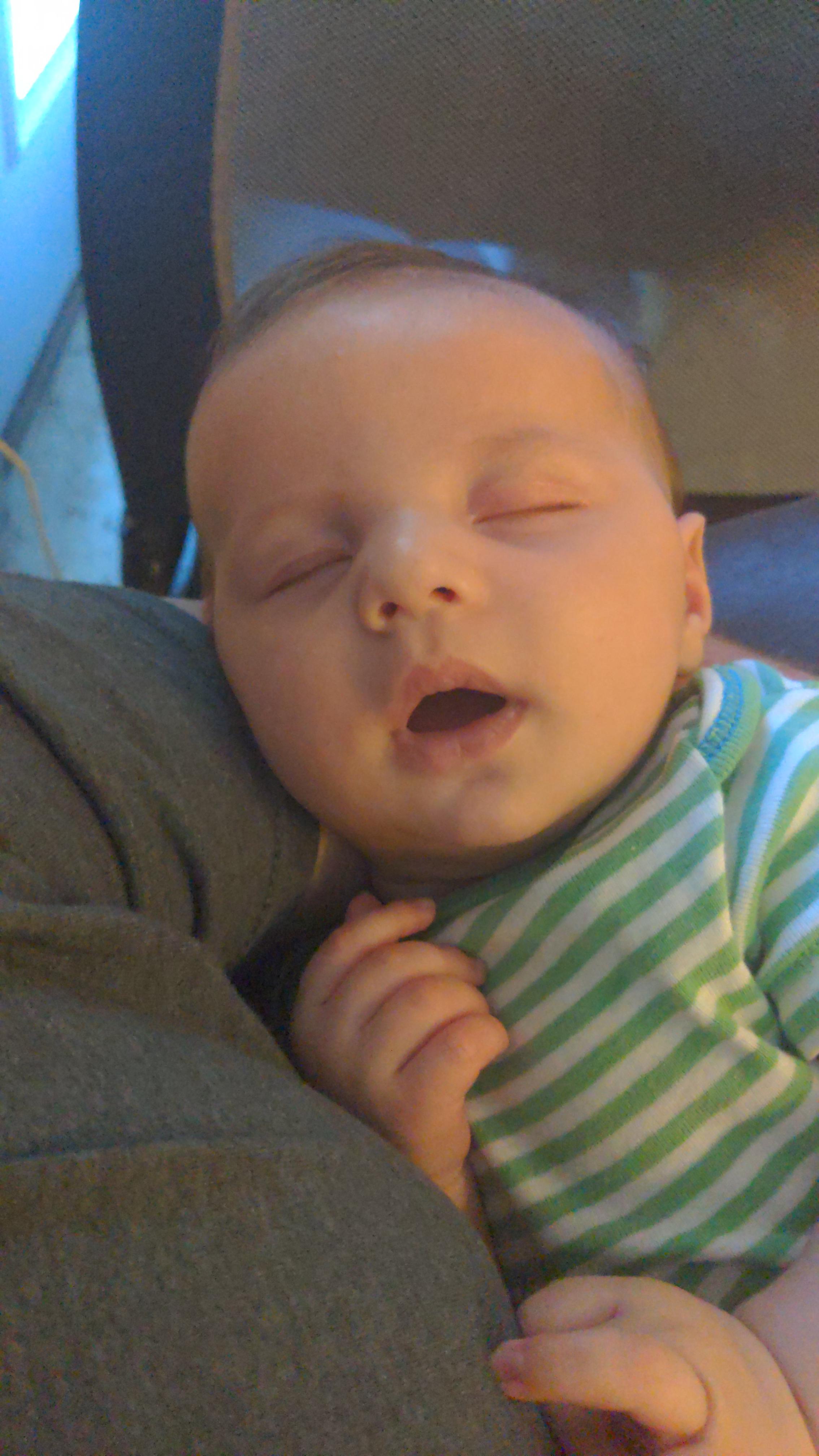 7 weeks old with four teeth coming in. It's a great time