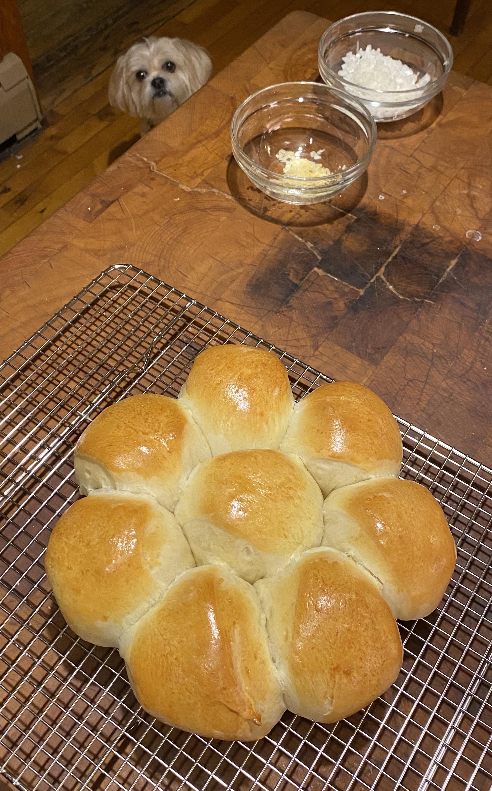 We have achieved fluffiness! Hokkaido dinner rolls. r/Breadit