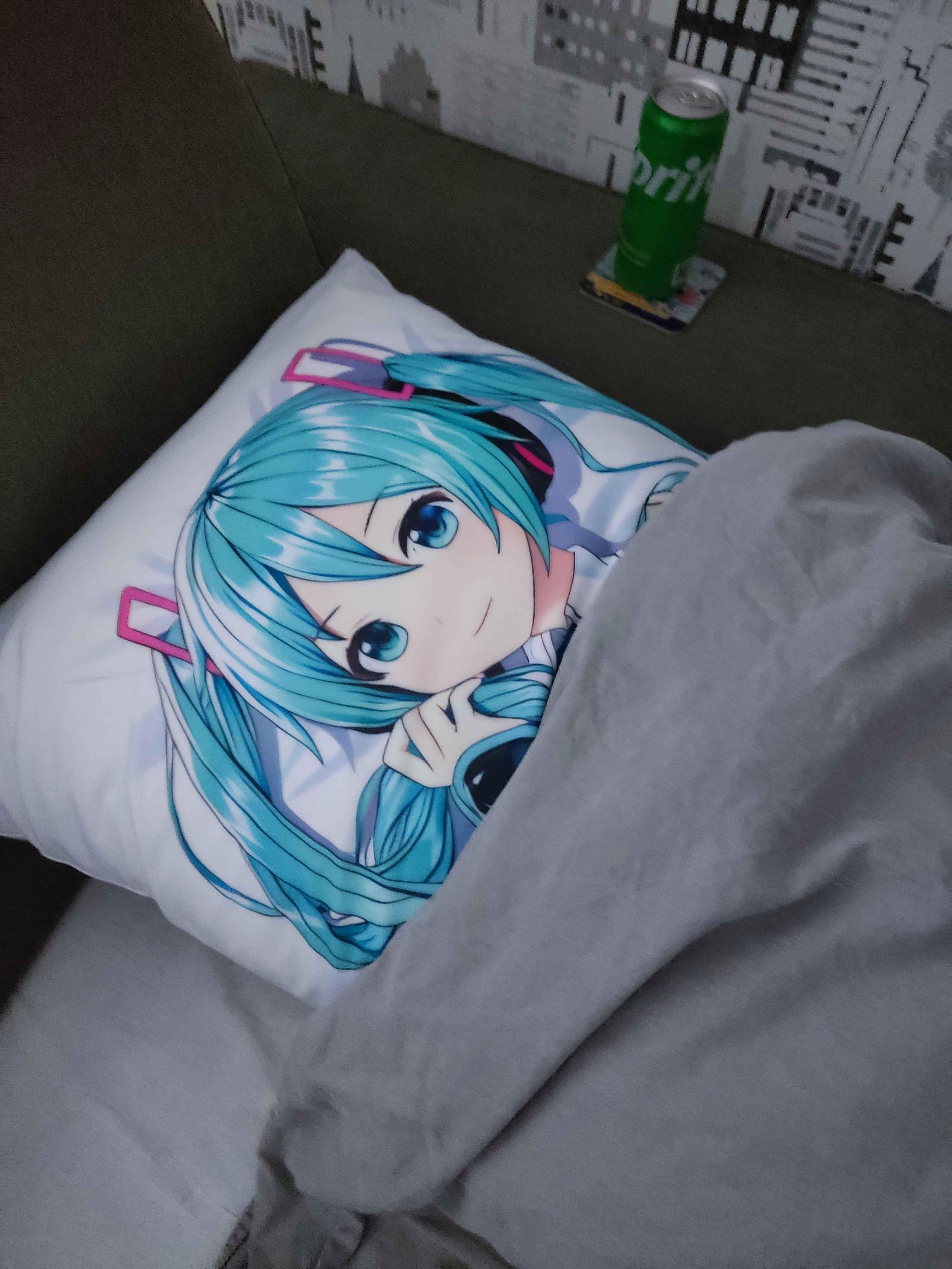 Me and Miku slept on the couch last night cuz we were lazy P r/waifuism