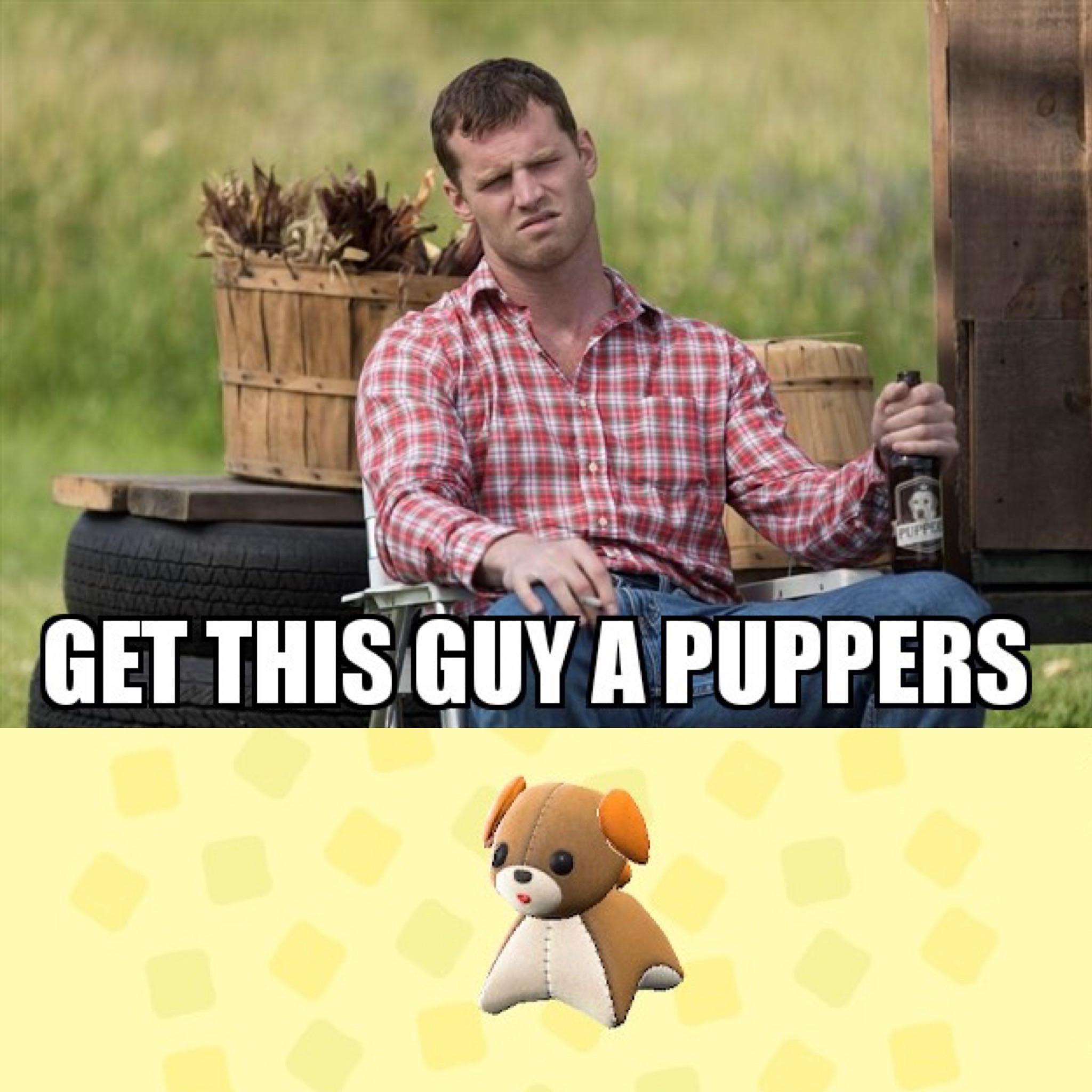 Pitter patter! r/AnimalCrossing