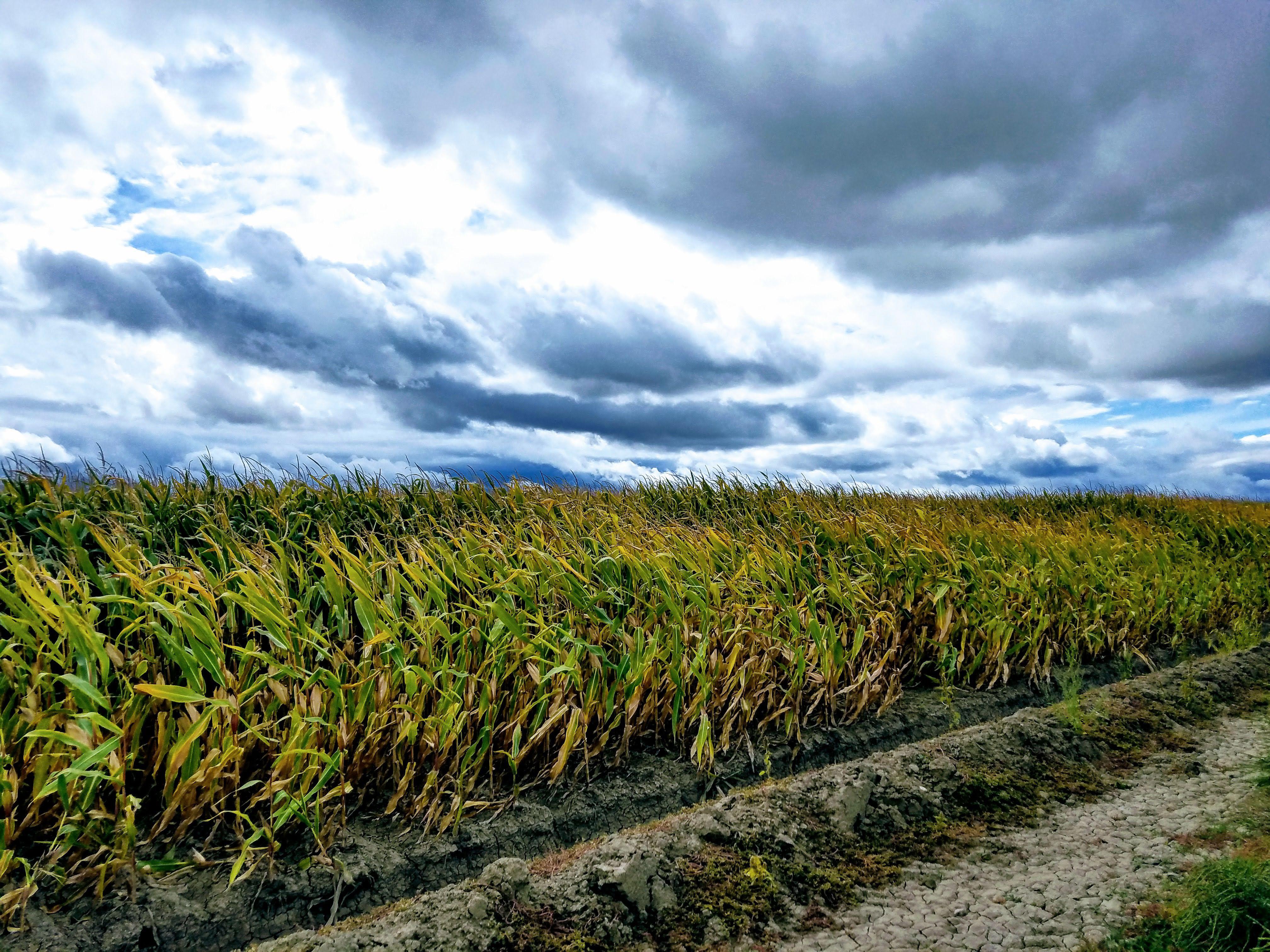 A Storm Amongst Us. Hysham Montana r/Montana