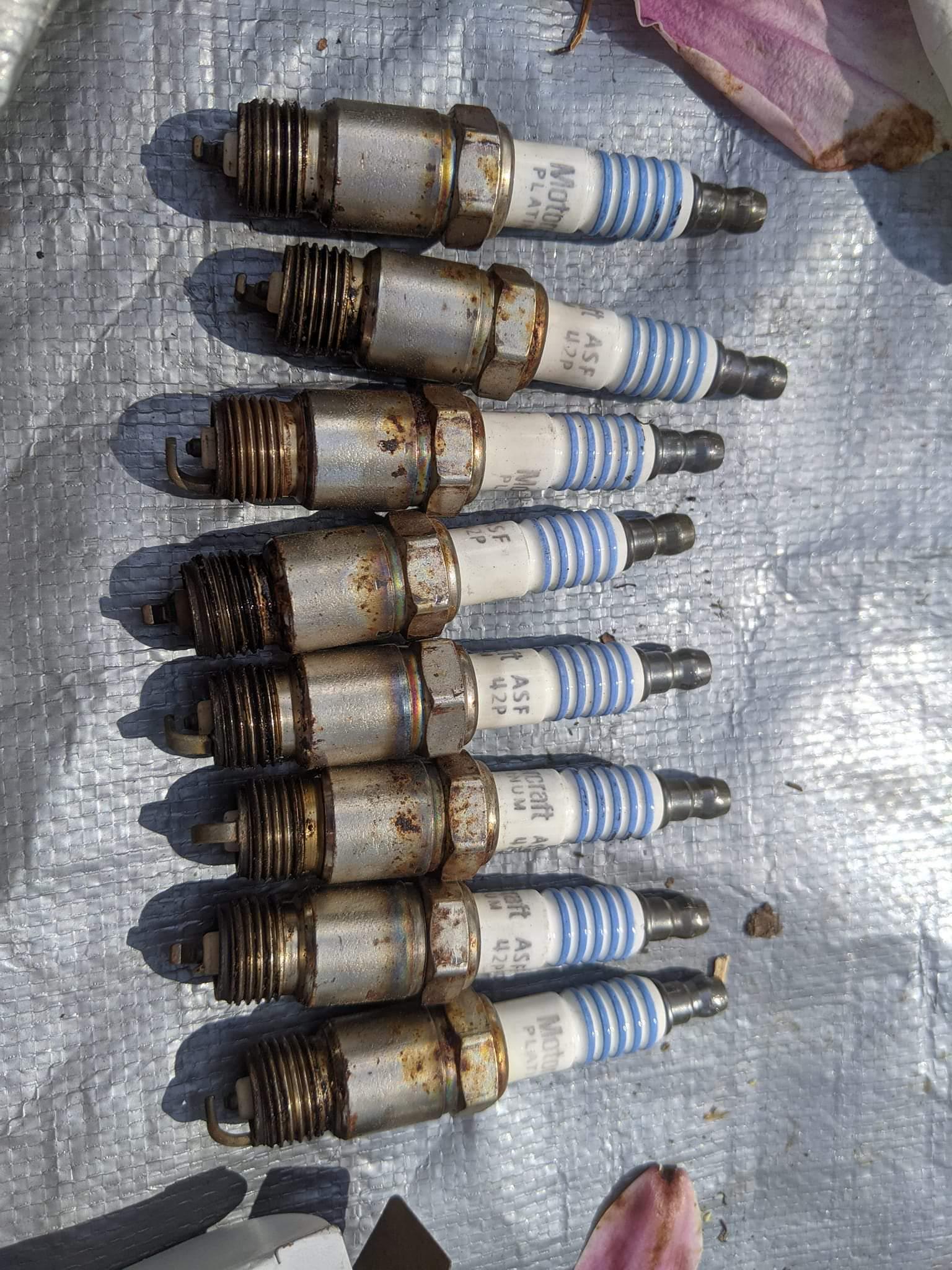 Trying to diagnose a misfire. Do these spark plugs give any leads? Alot