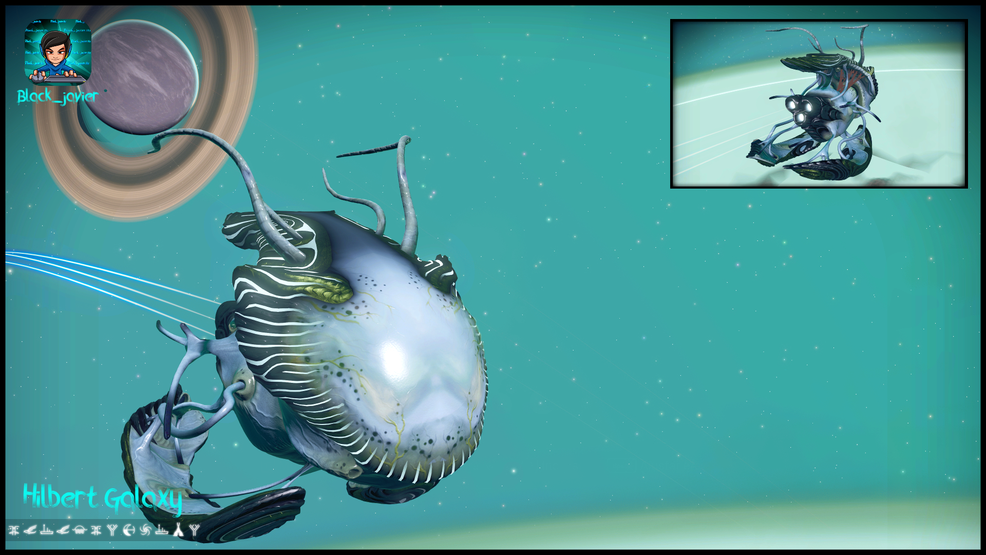 Starship Living Ship Color Darkgreen & Blue Head Type Compact