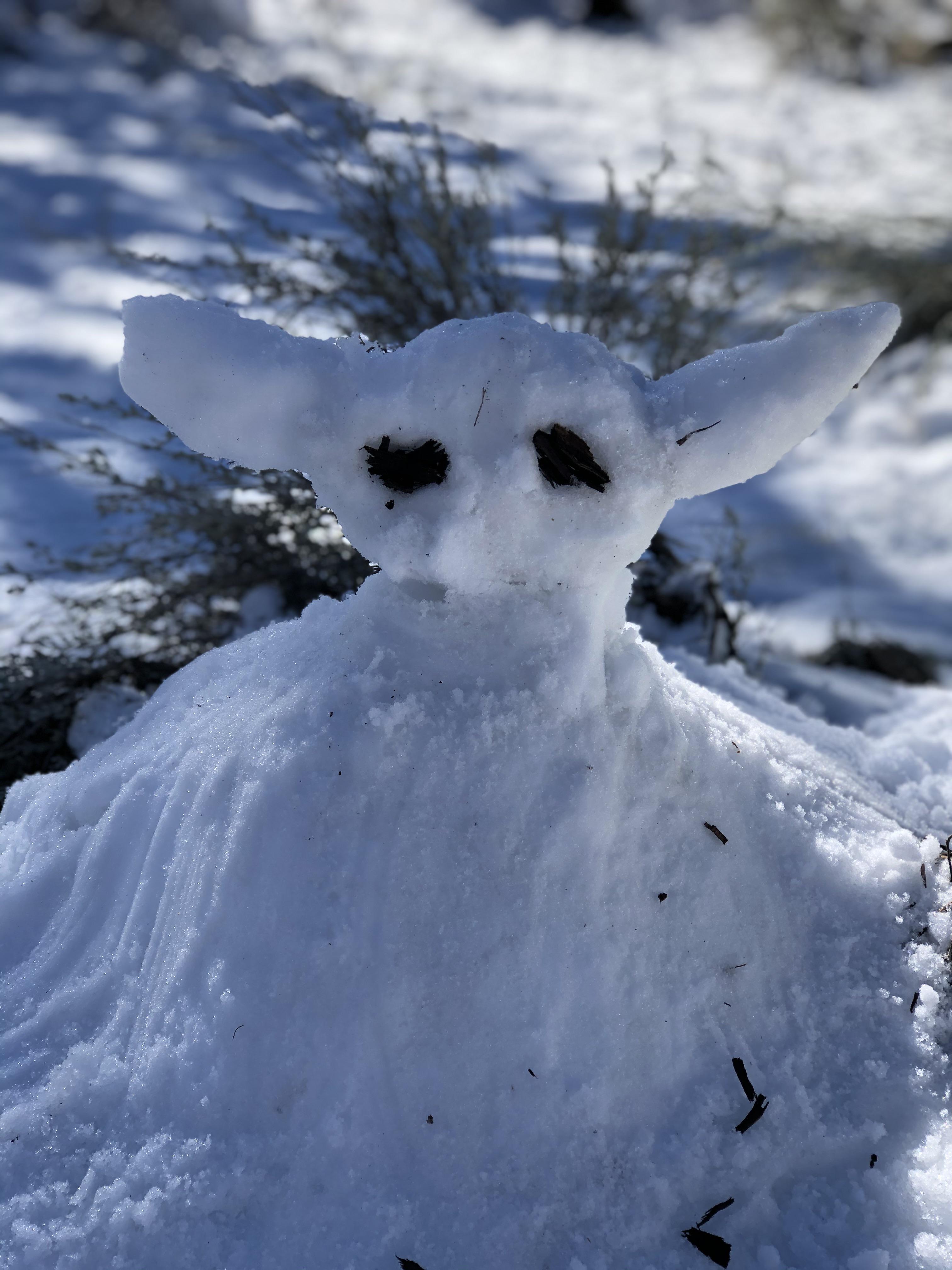 Didn’t know where to post but here is my terrible attempt at a baby yoda made of snow r/pics