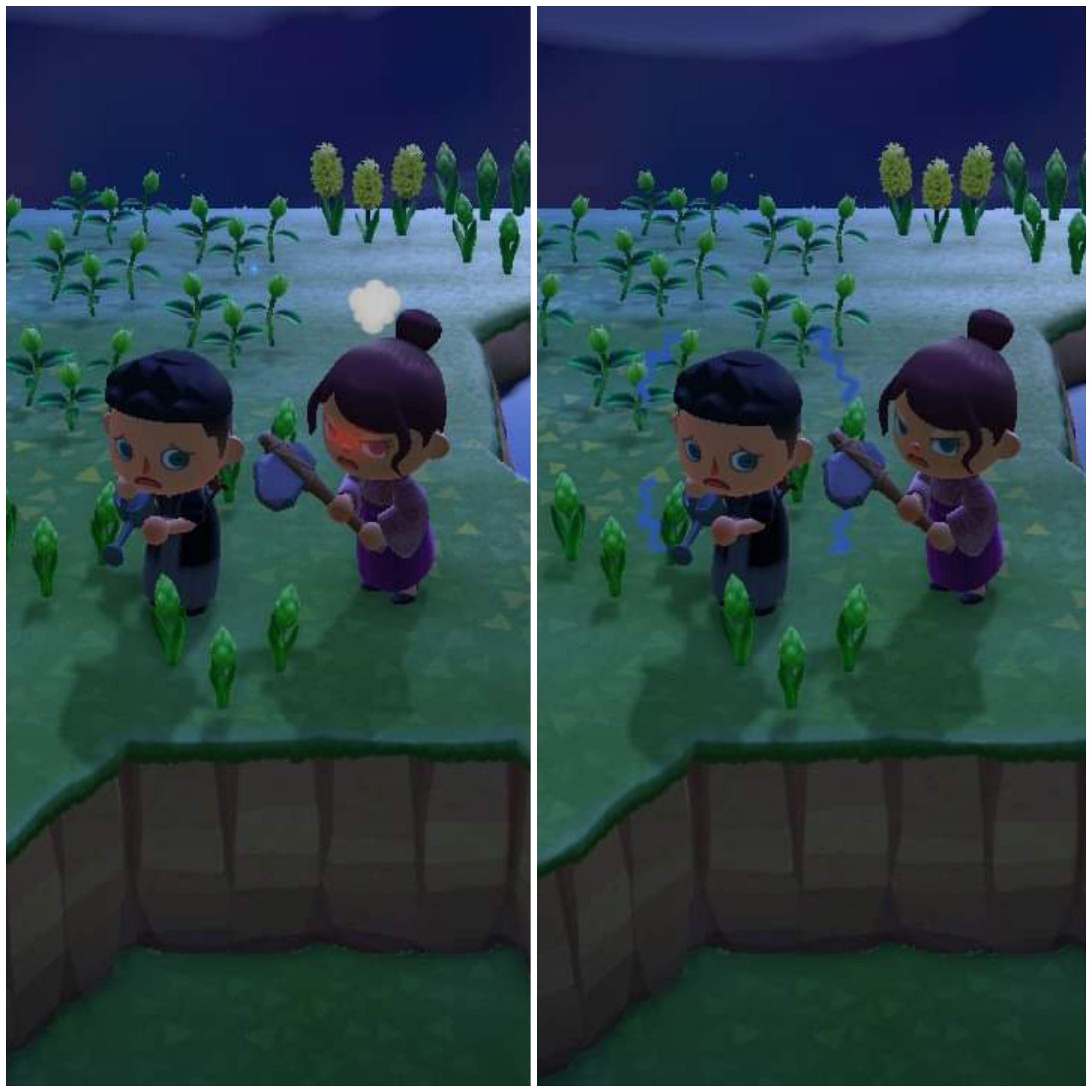 My girlfriend read that visitors watering your flower increased chances