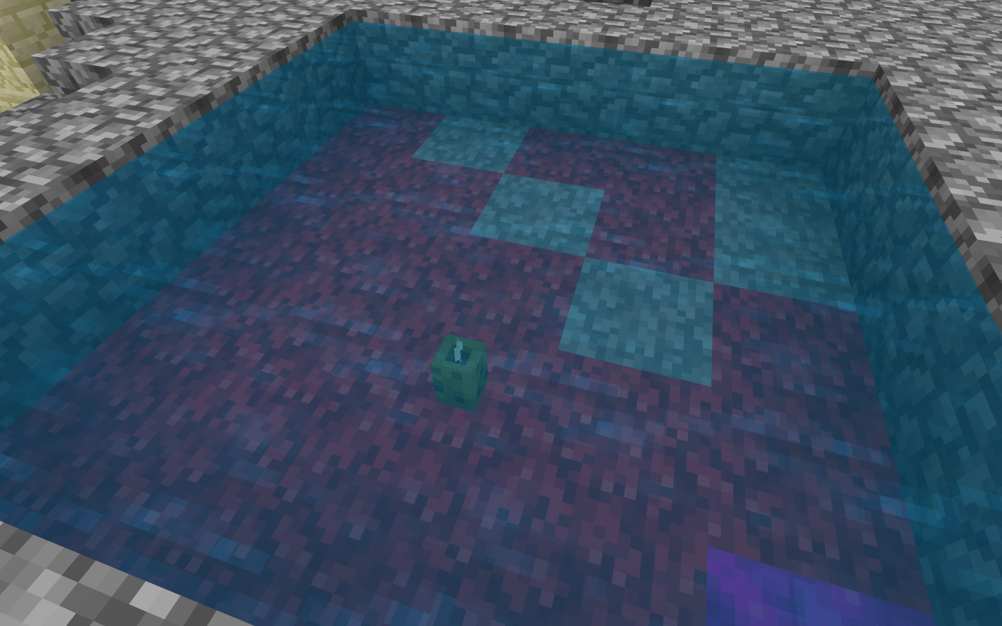 why is the coral dead? r/Minecraft